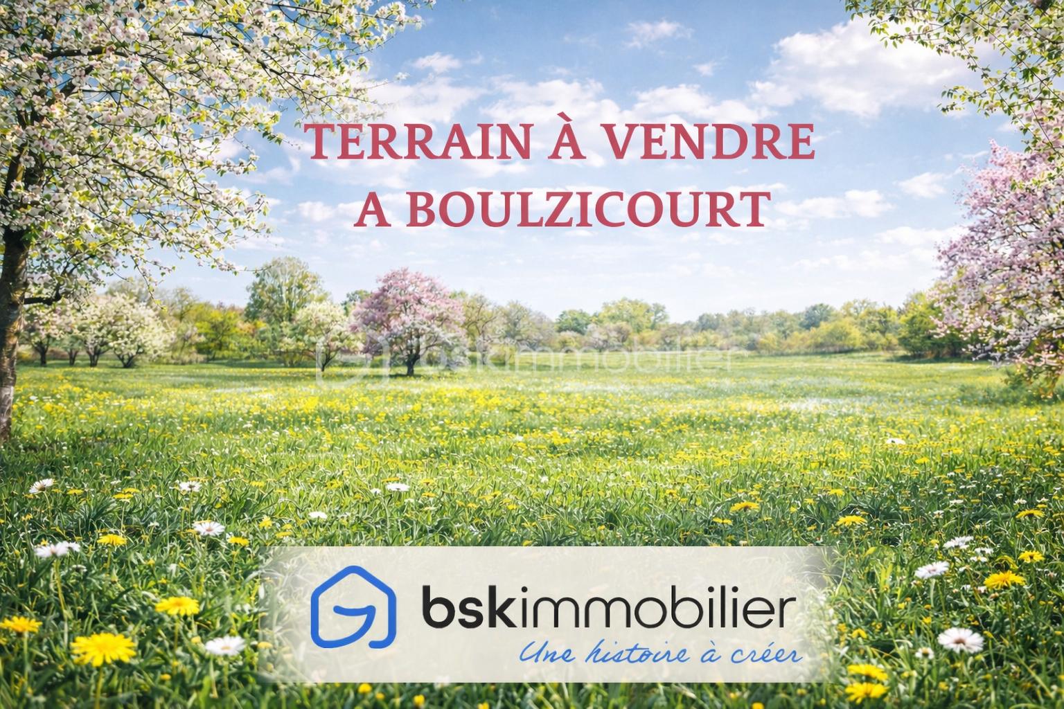 Terrain à vendre à Boulzicourt printemps.png
