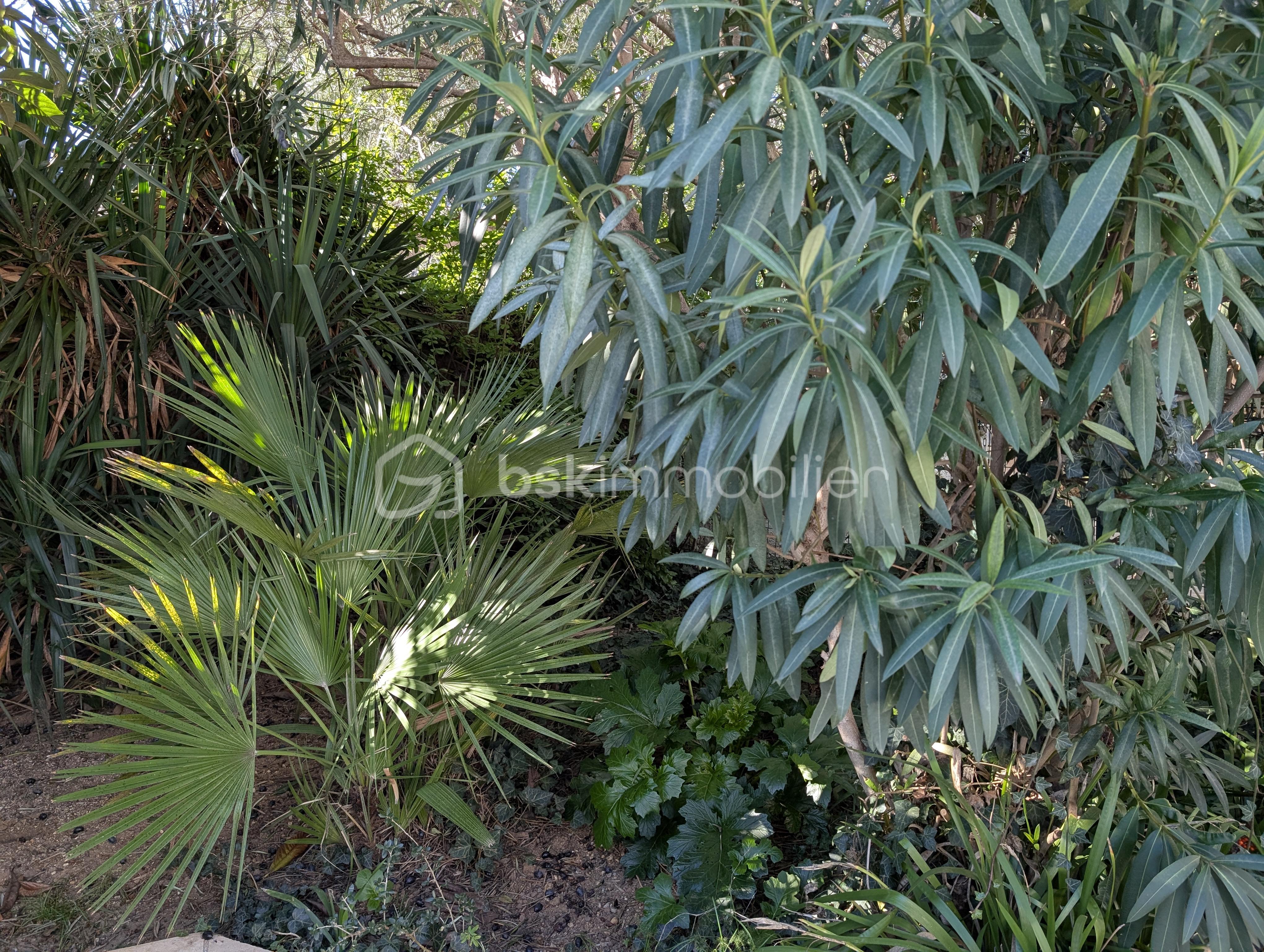 Maison de 171 m² - PXL_20260106_103657012.jpg