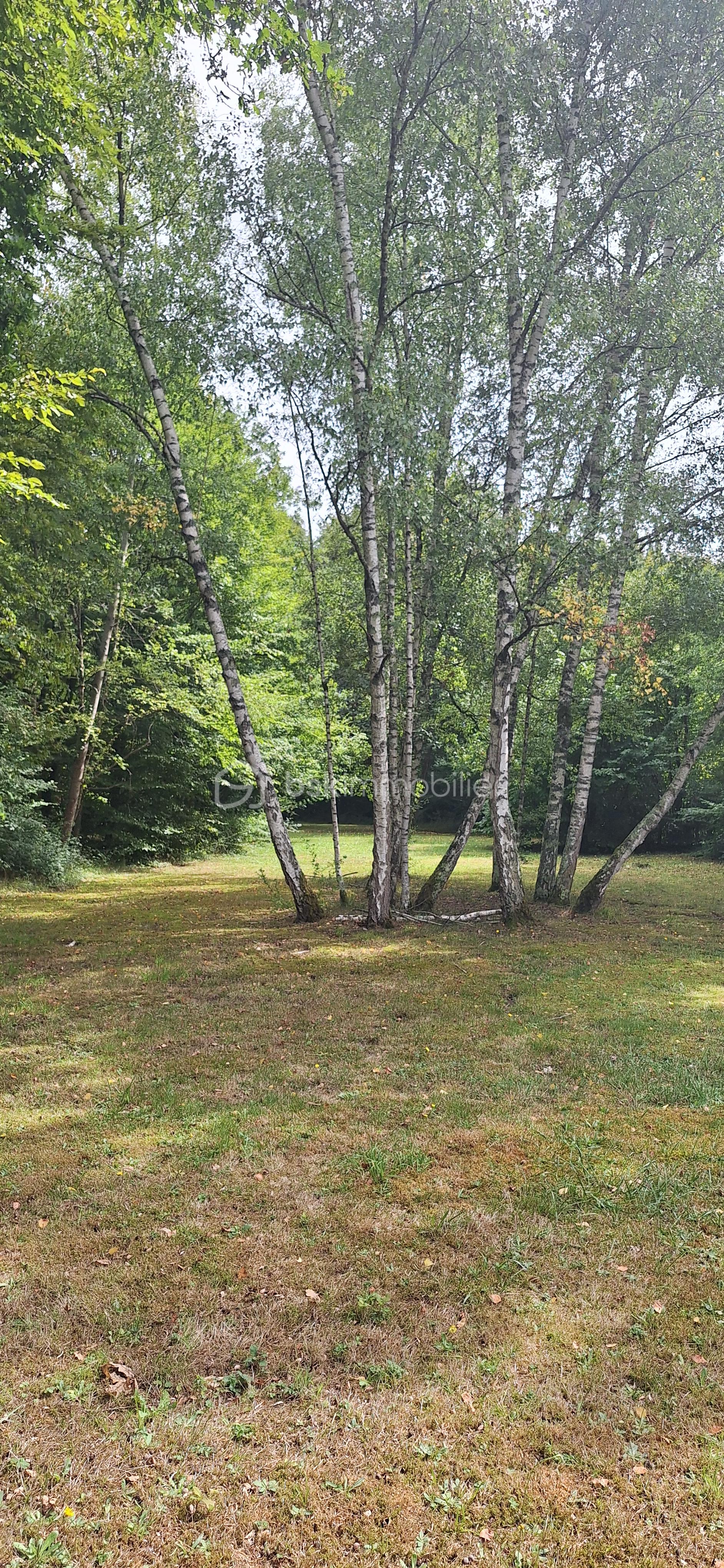 Terrain de loisirs de 2 254 m² - 20250903_140550.jpg