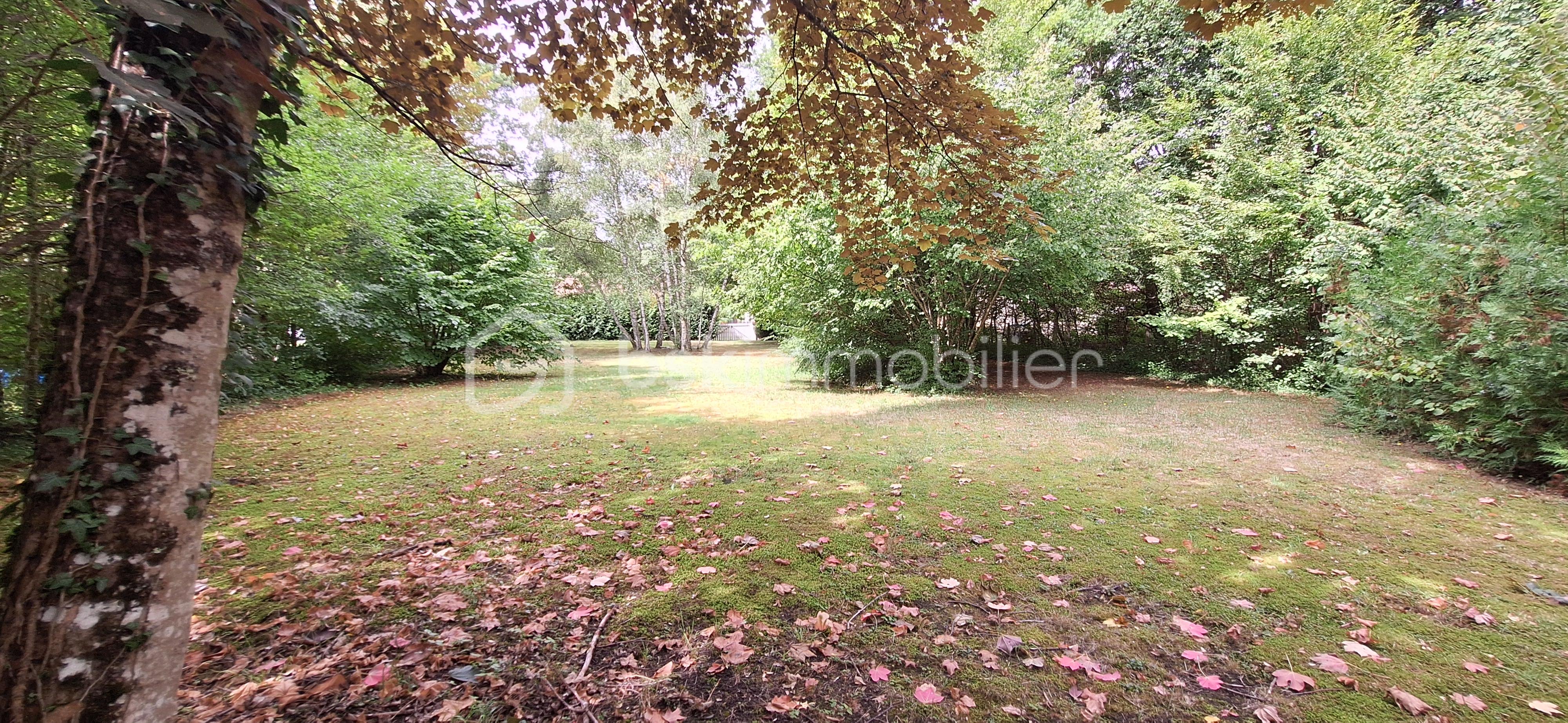 Terrain de loisirs de 2 254 m² - 20250903_140646.jpg