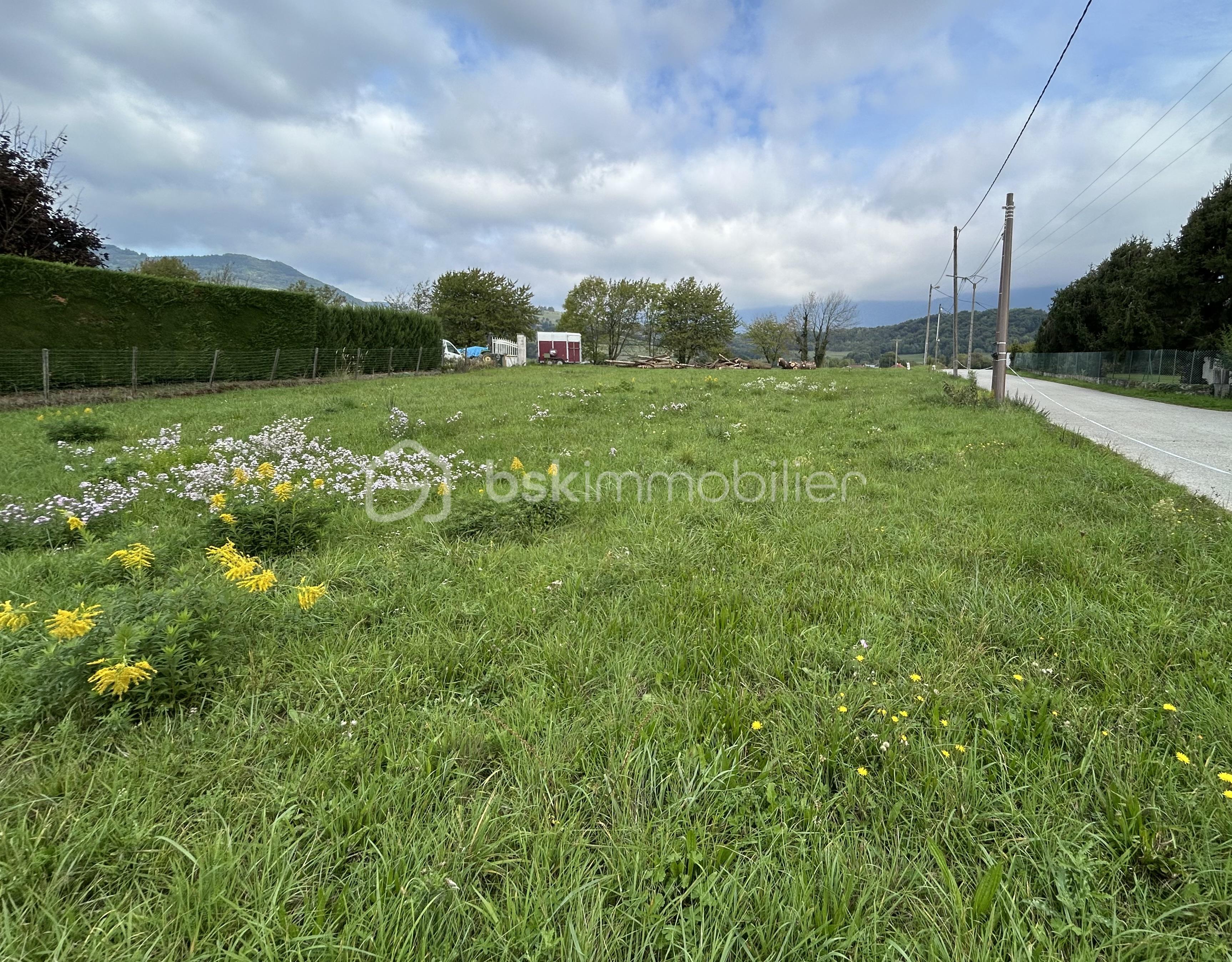 Terrain de 510 m² - IMG_4126.jpg