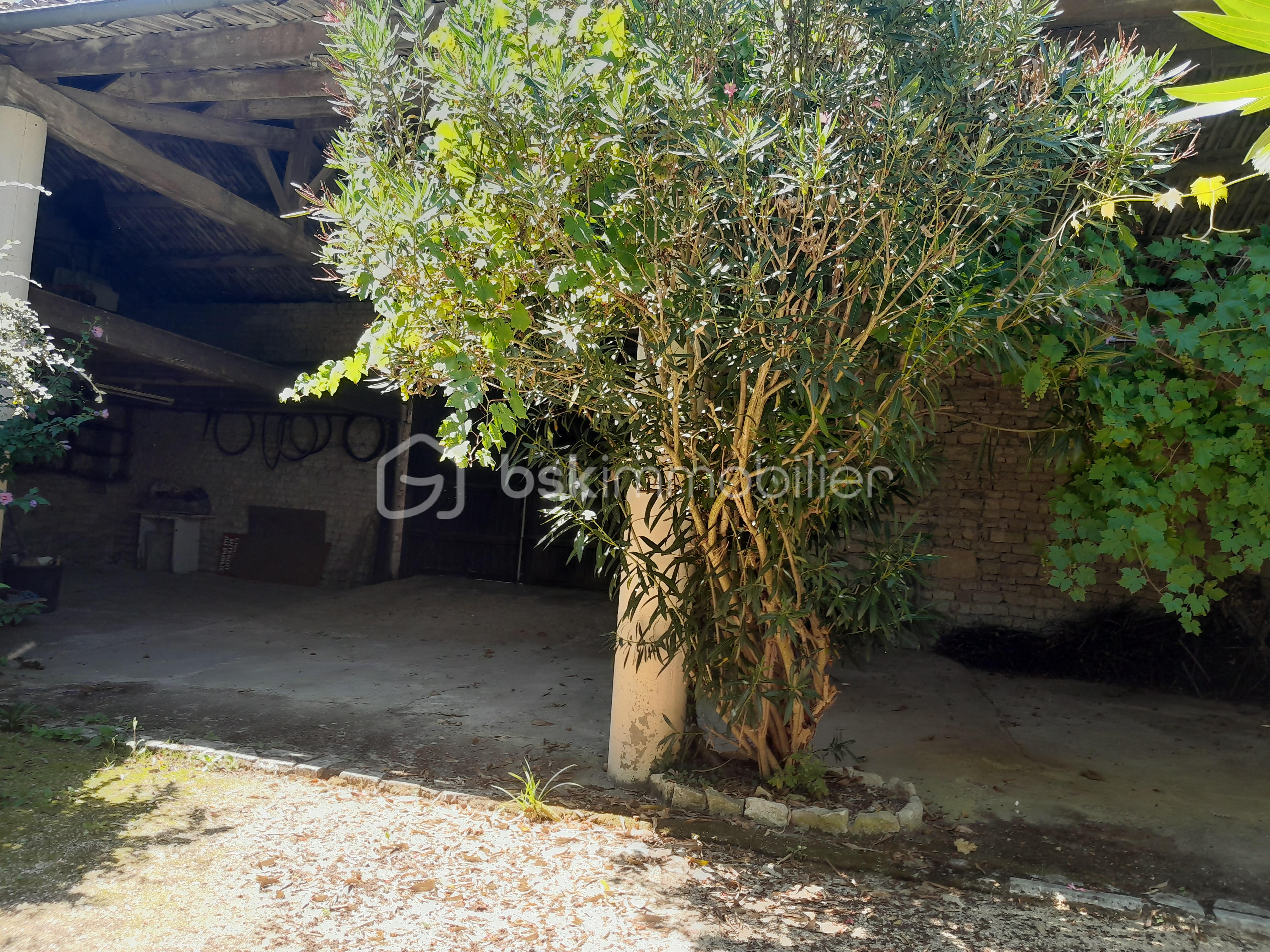 Maison de 125 m² - ARBRE++.jpg