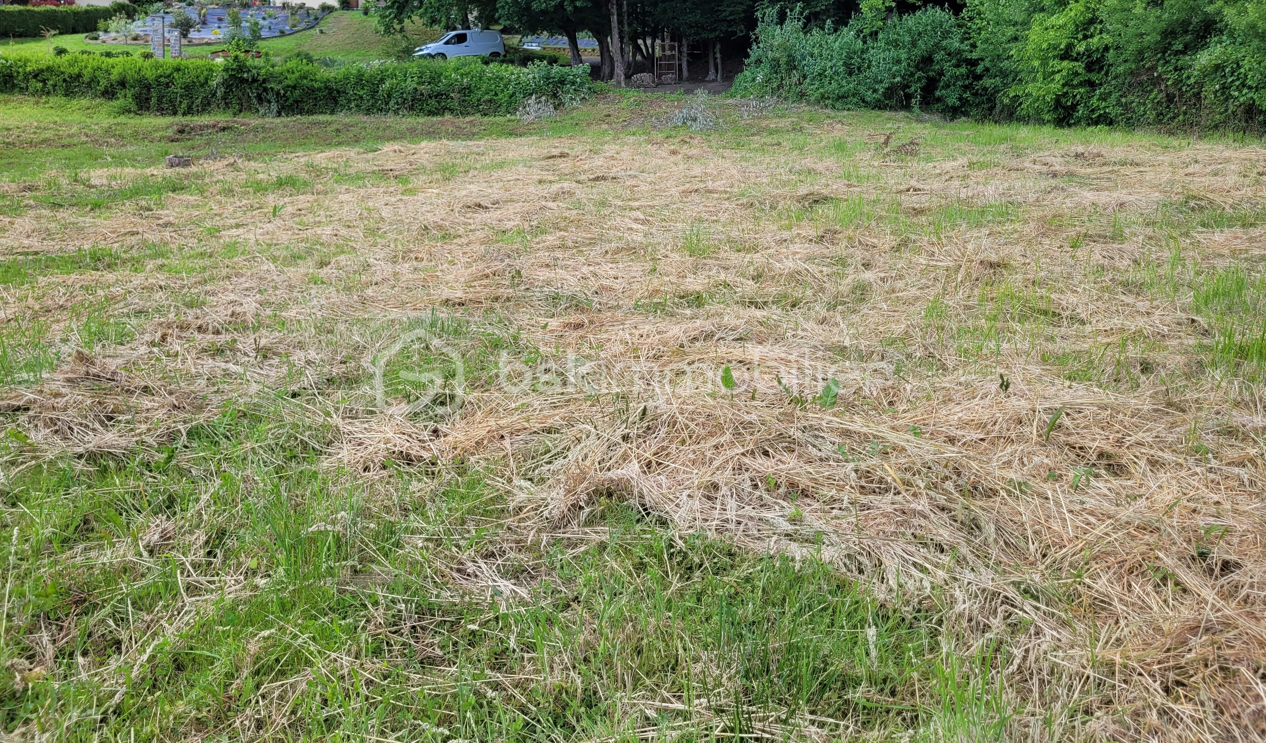 terrain vue du bas.jpg