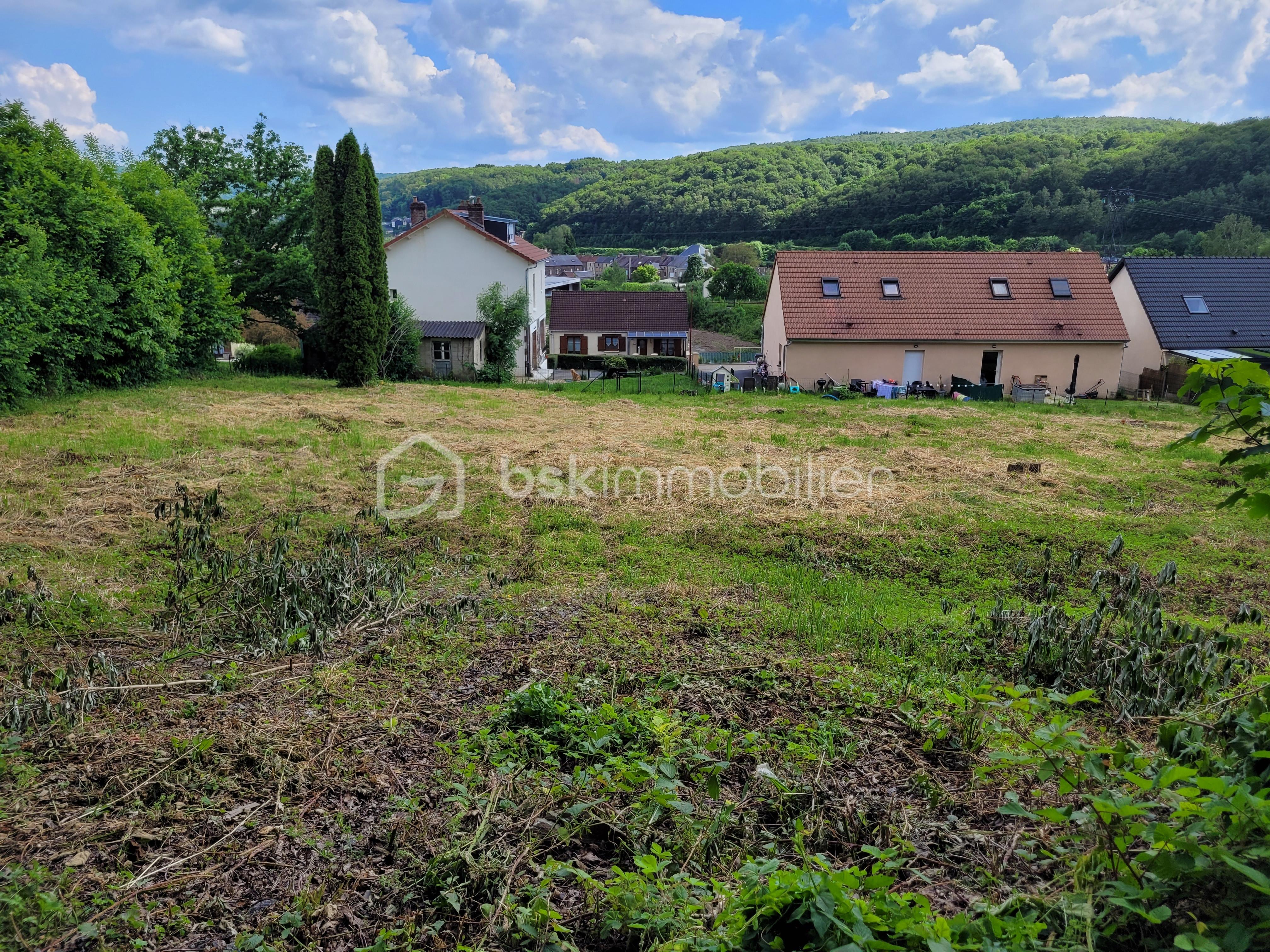 terrain vue du haut.jpg