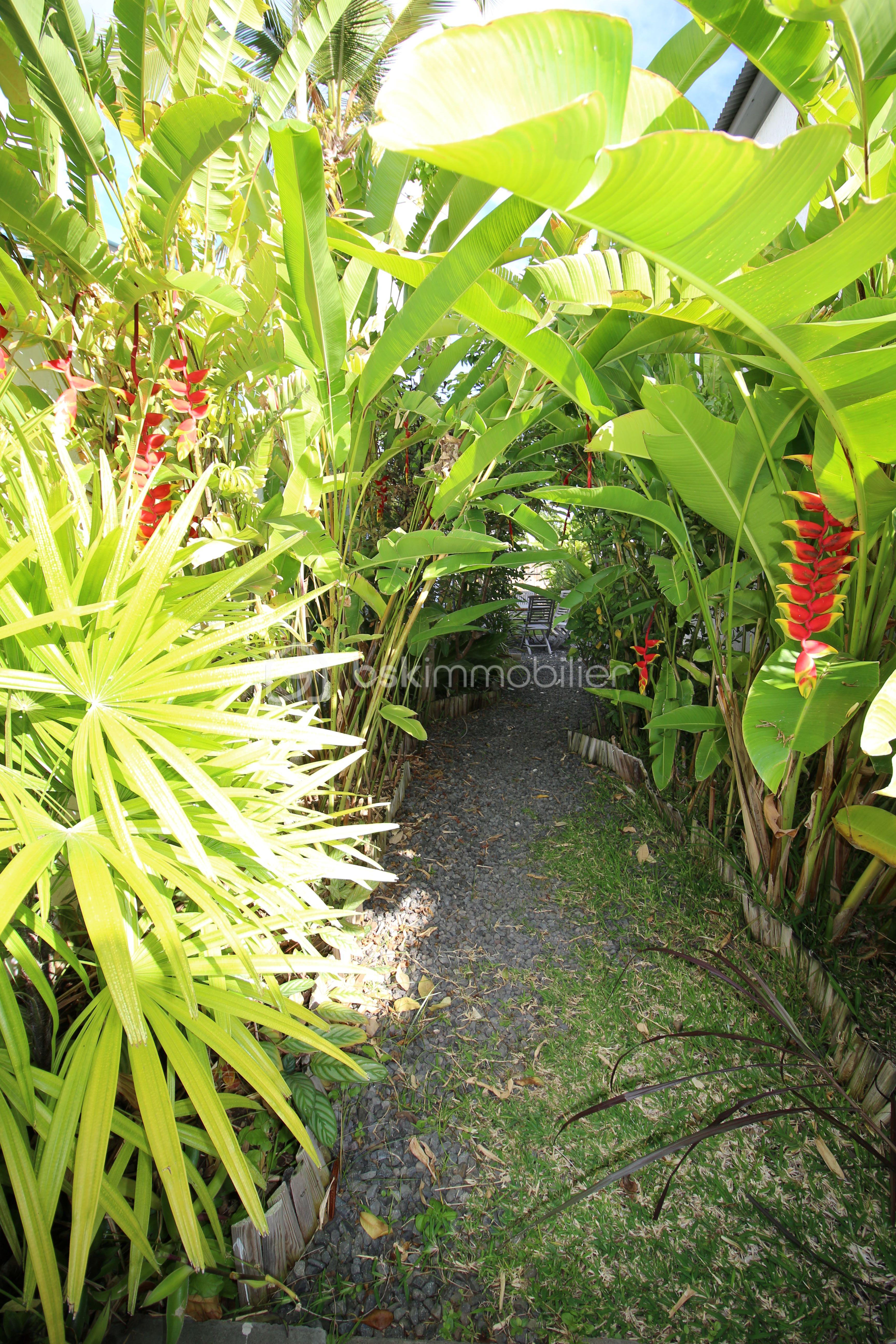 21 JARDIN OK.jpg