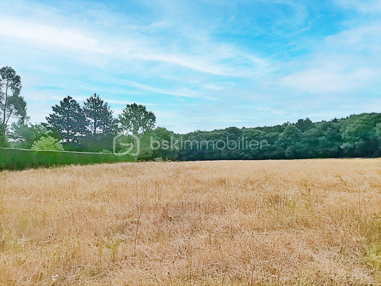 Terrain de 6 614 m² - 3 copie.jpg