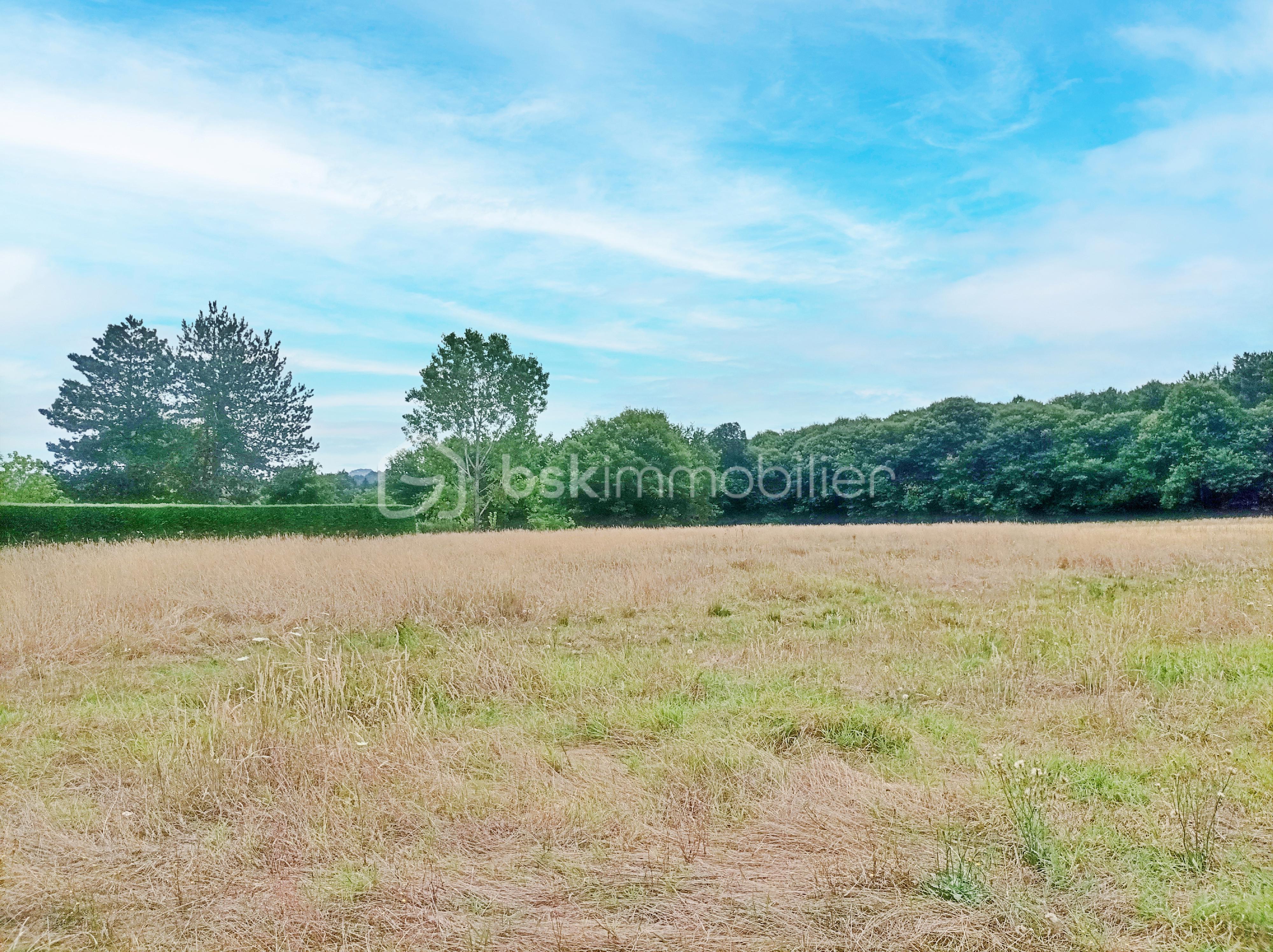 Terrain de 6 614 m² - 1 copie.jpg