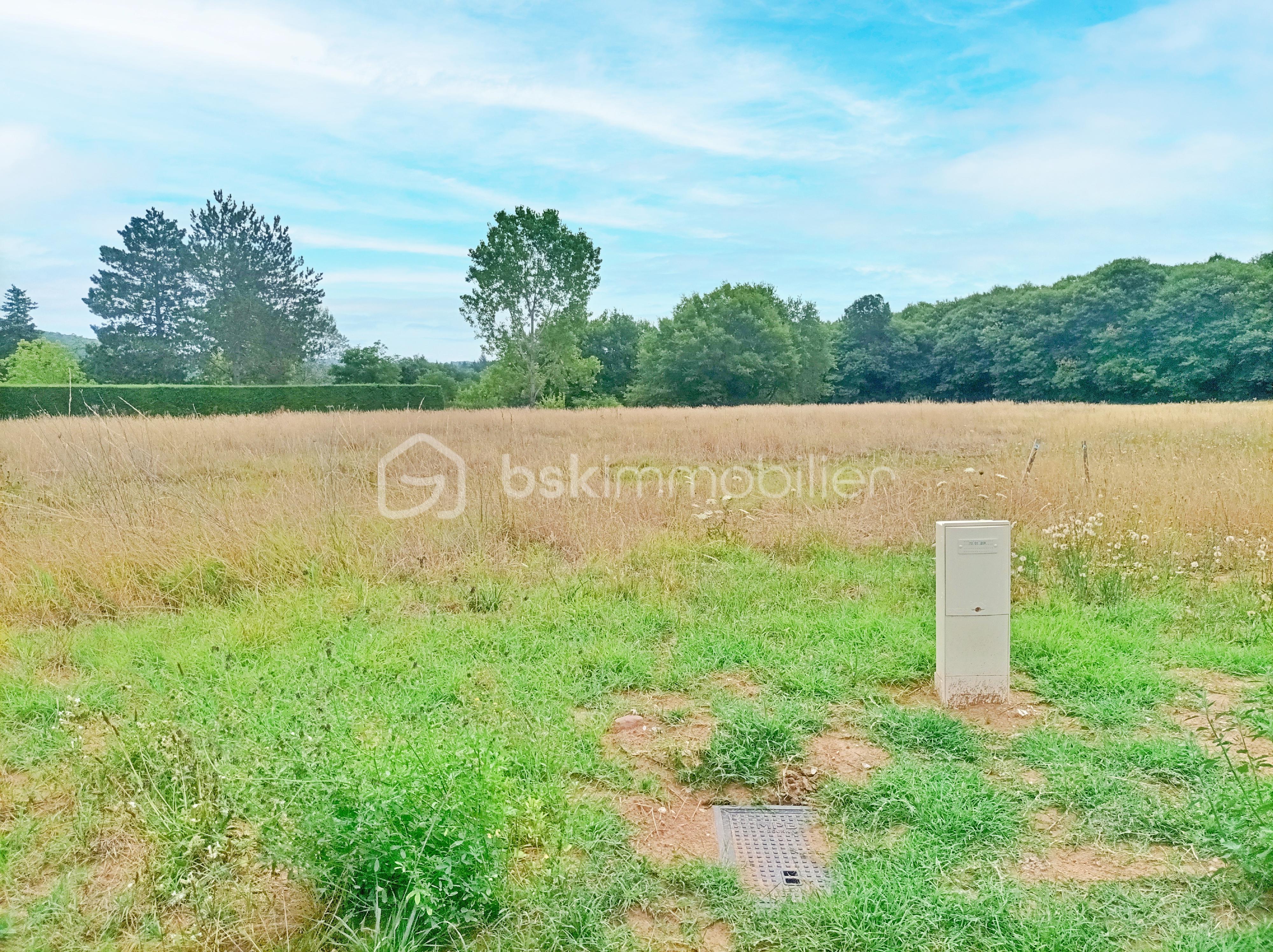 Terrain de 6 614 m² - 6 copie 2.jpg