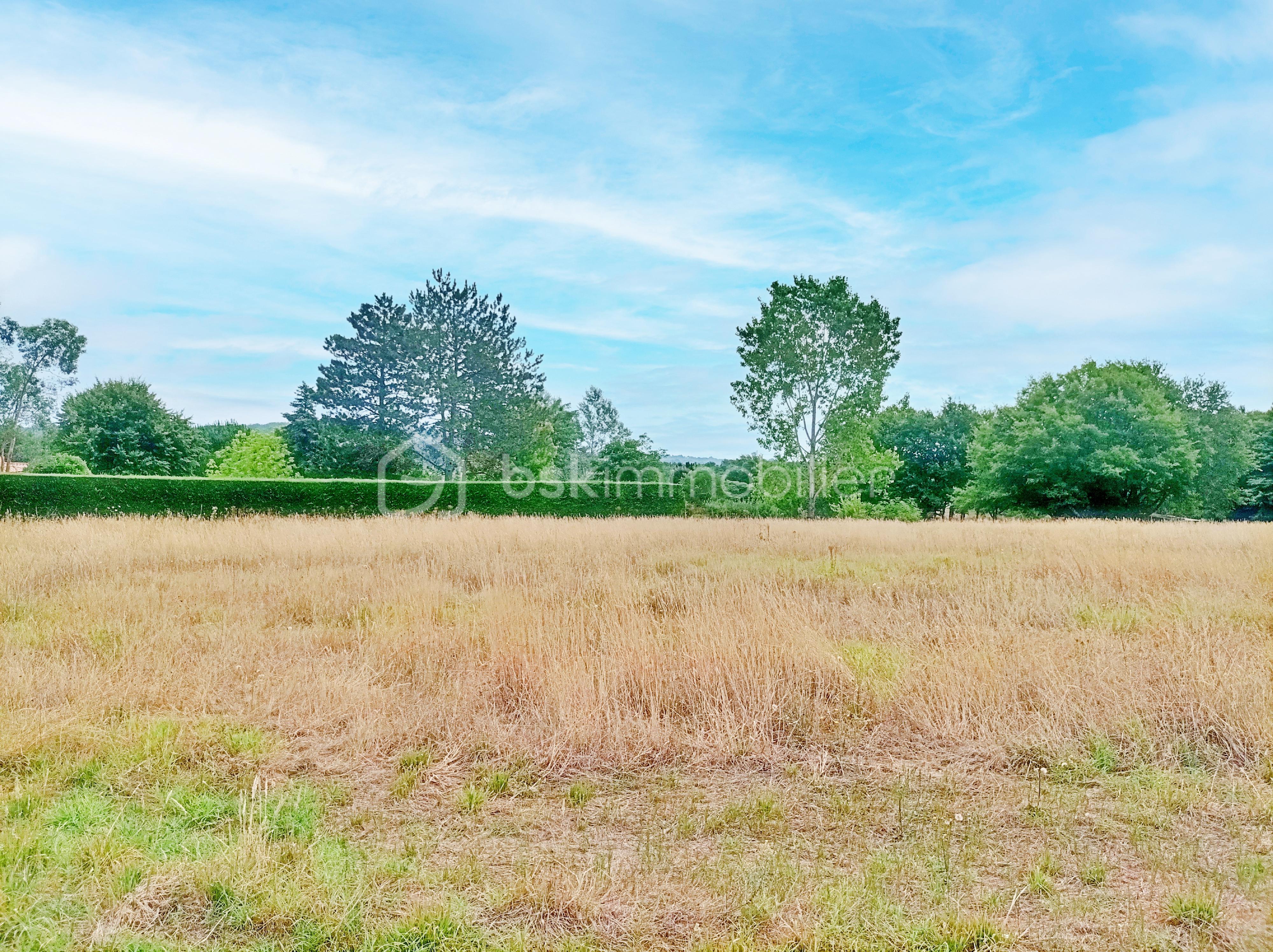 Terrain de 6 614 m² - 5 copie.jpg