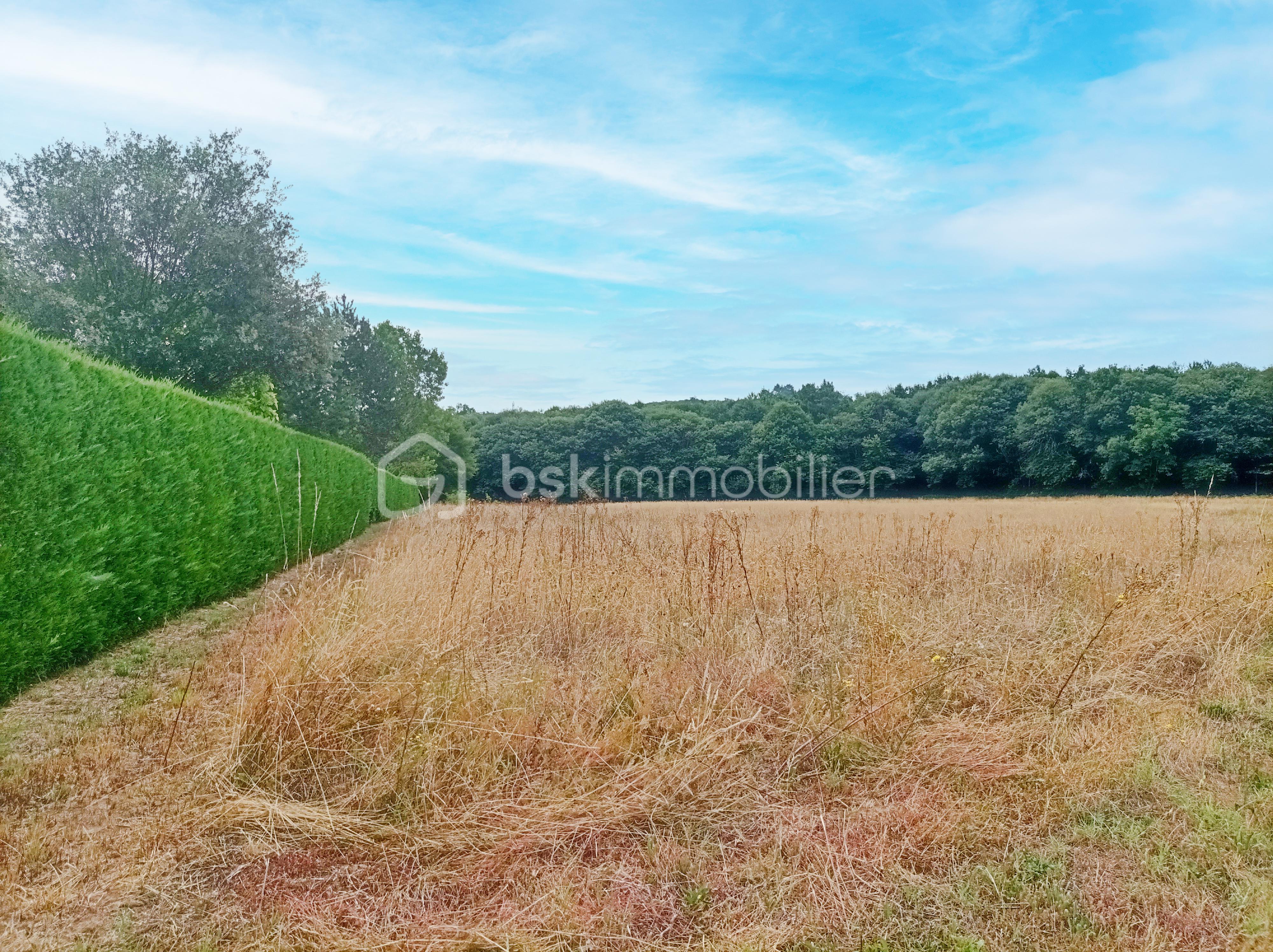 Terrain de 6 614 m² - 2 copie.jpg