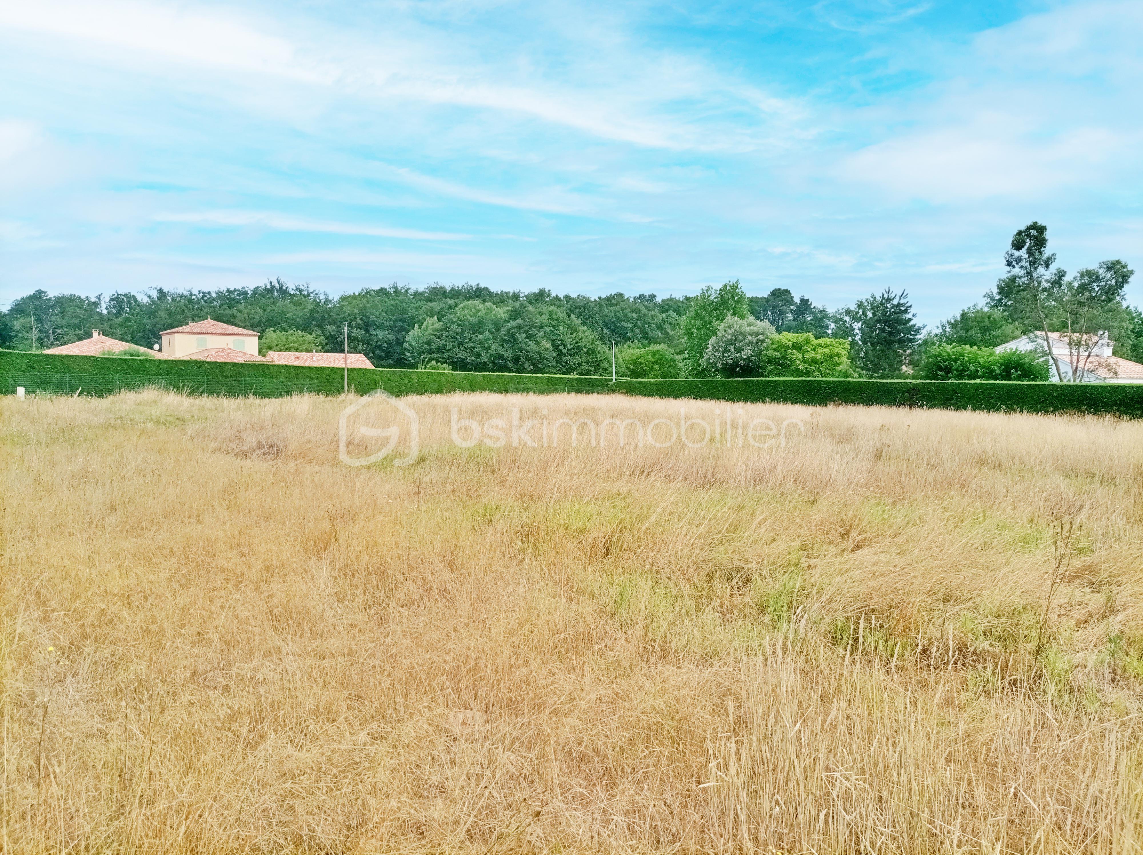 Terrain de 6 614 m² - 7 copie.jpg