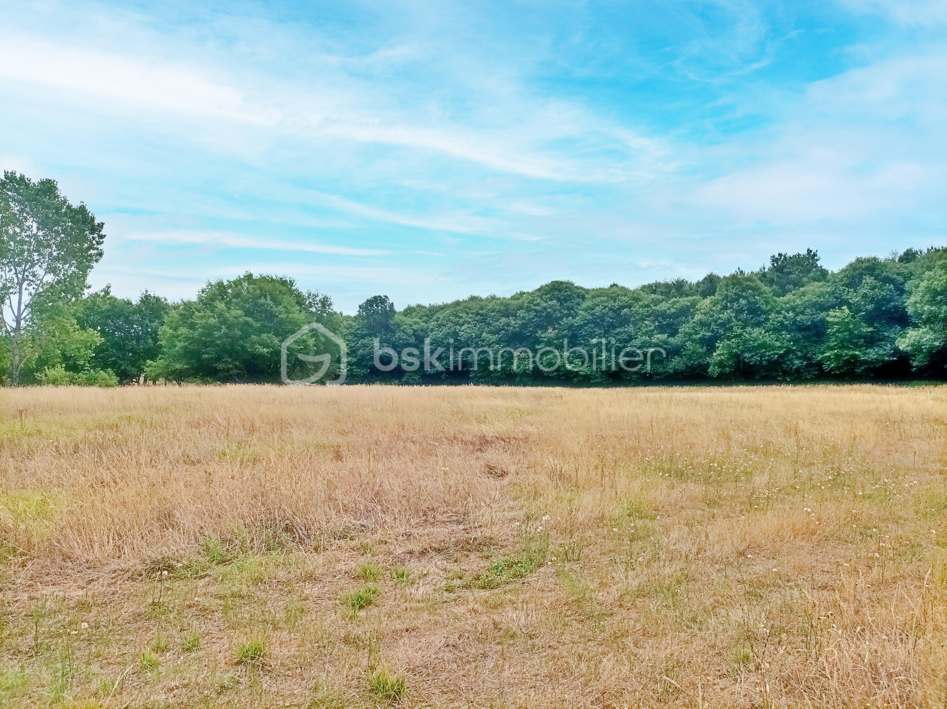 Terrain de 6 614 m² - 4 copie.jpg