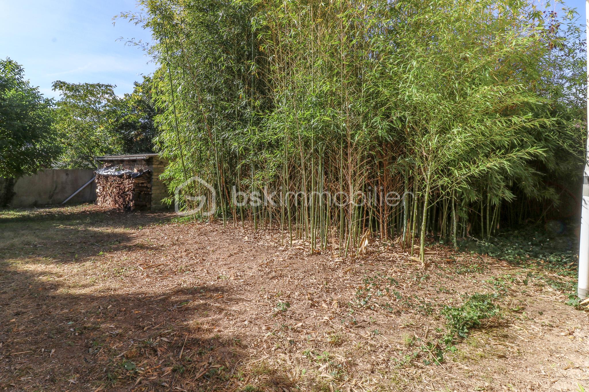 Maison de 90 m² - IMG_8737.jpg