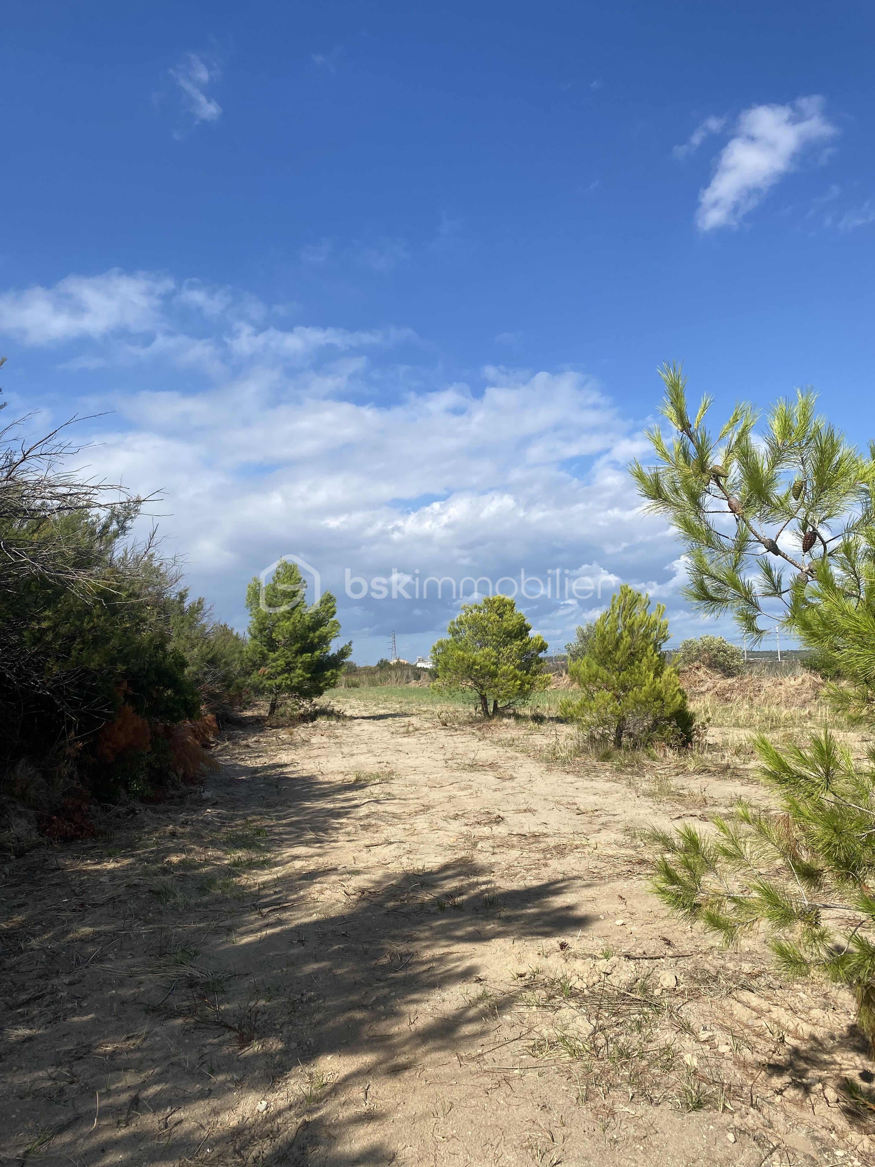 Terrain agricole de 12 234 m² - IMG_4791.jpg