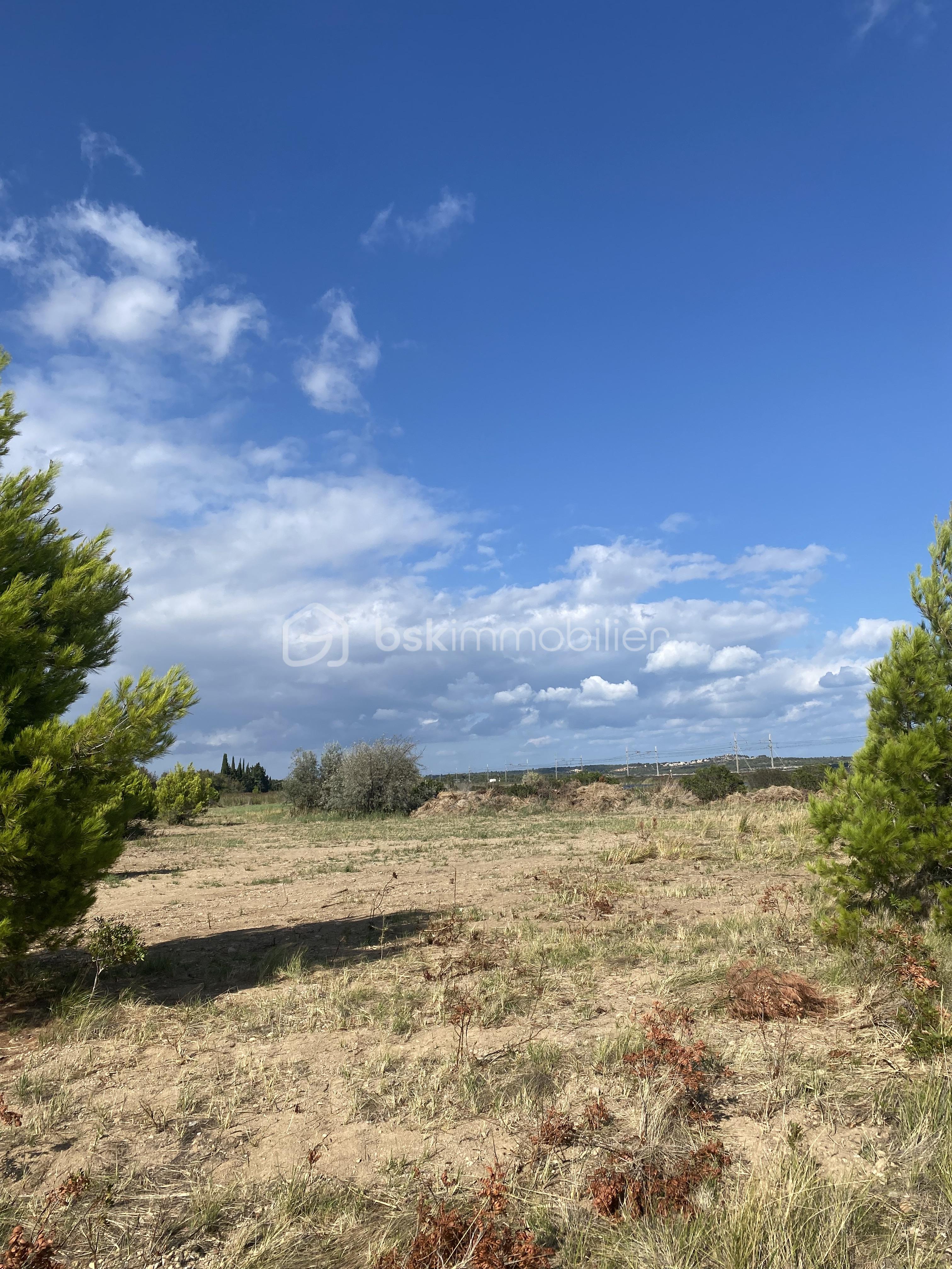 Terrain agricole de 12 234 m² - IMG_4785.jpg