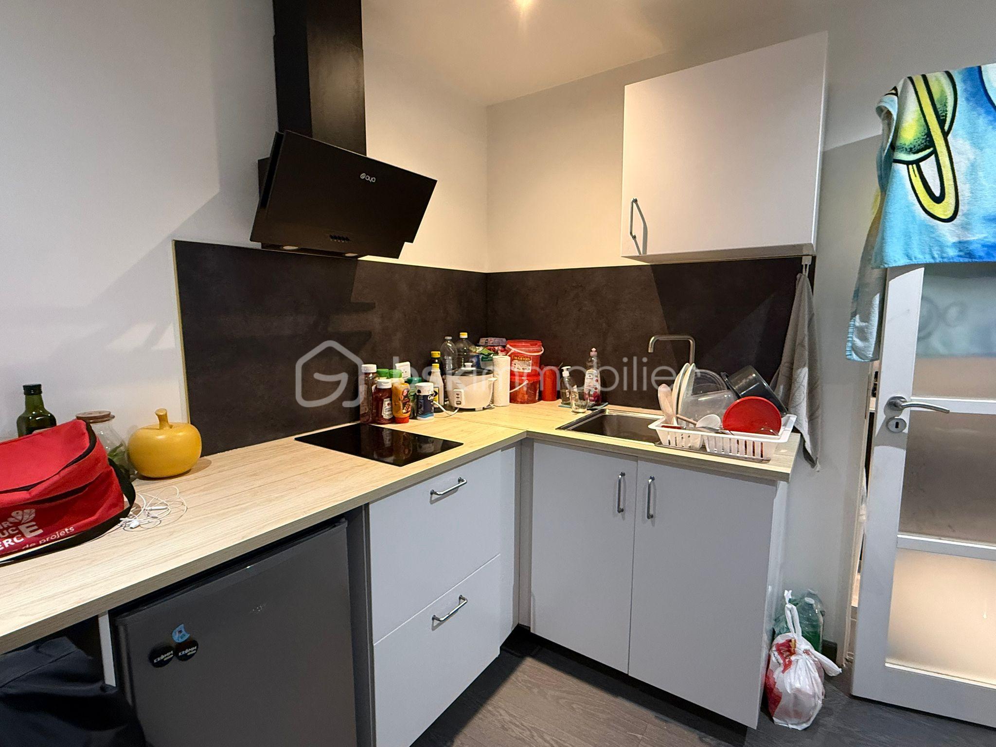 Studette de 17 m² - IMG_0265.jpeg