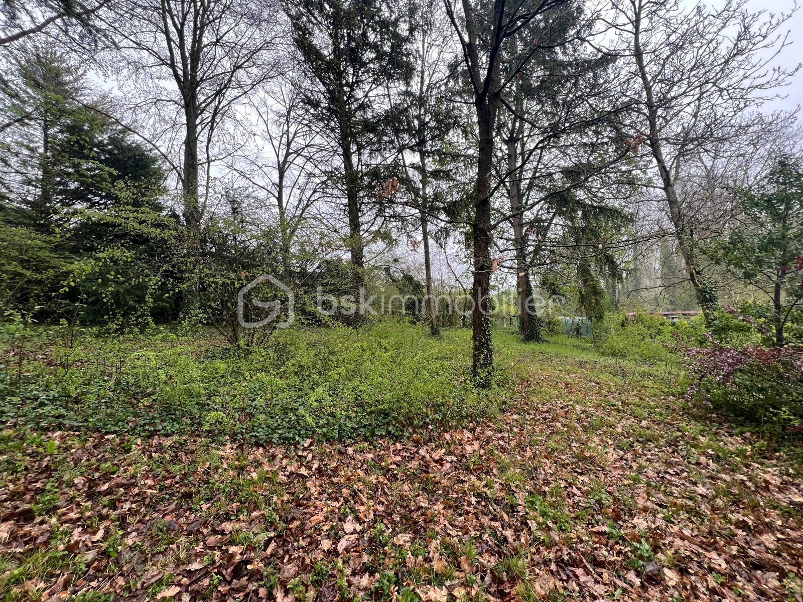 WhatsApp Image 2026-04-02 at 15.48.34.jpeg