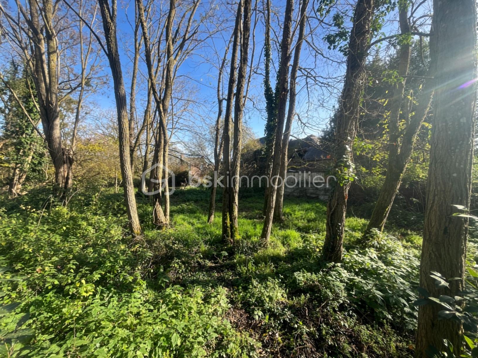 Lotissement de 3 094 m² - 625901d30d4cbf8-1.jpg