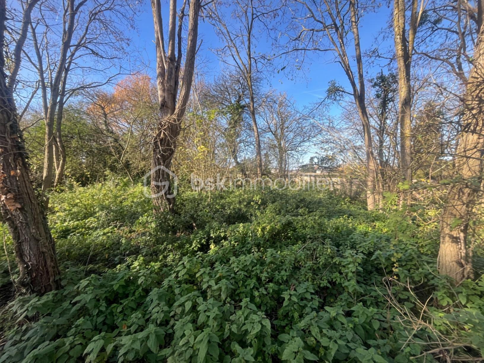 Lotissement de 3 094 m² - 78cd3ab73623fec-1.jpg