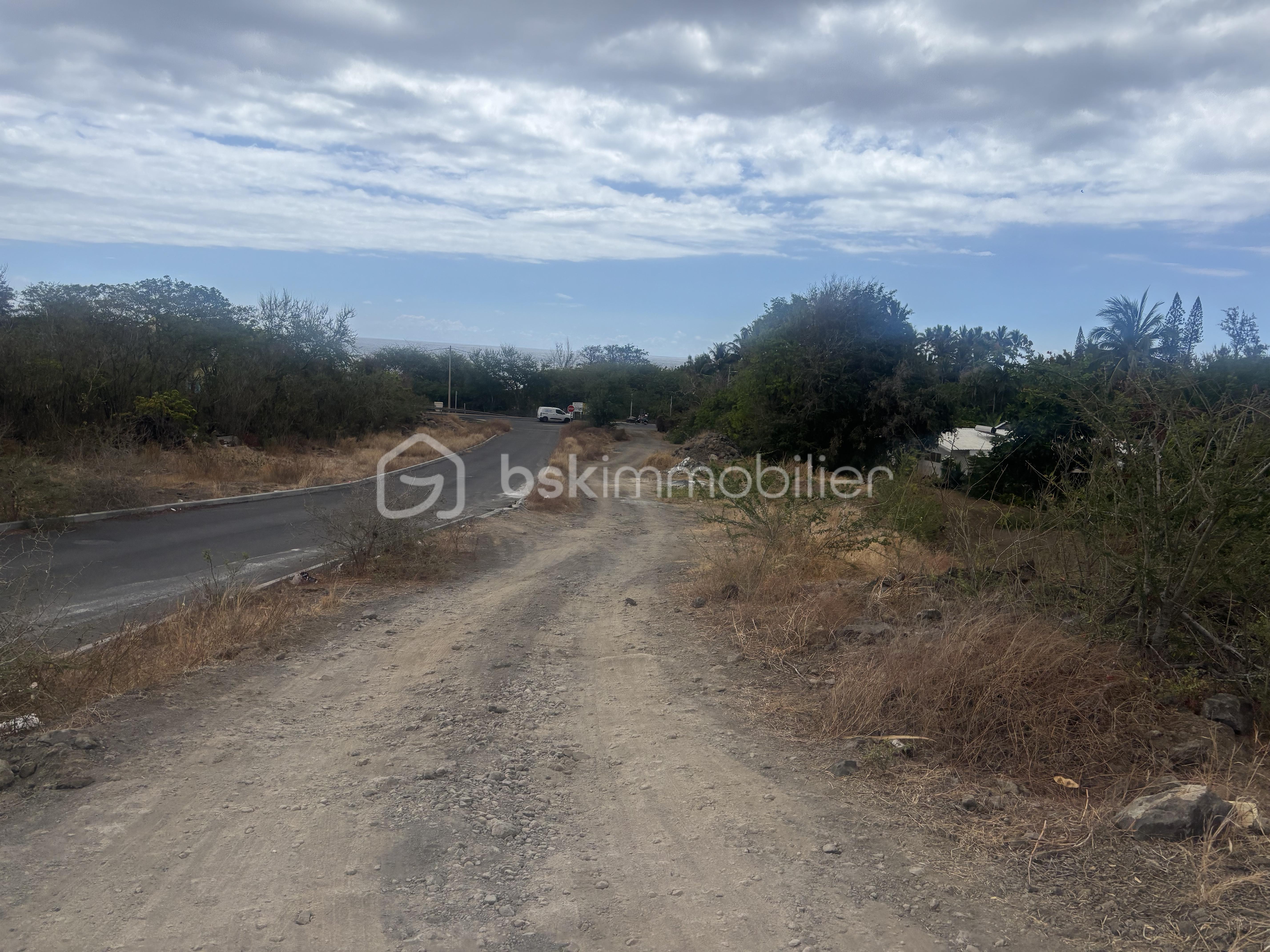 Terrain de 700 m² - IMG_3909.jpeg