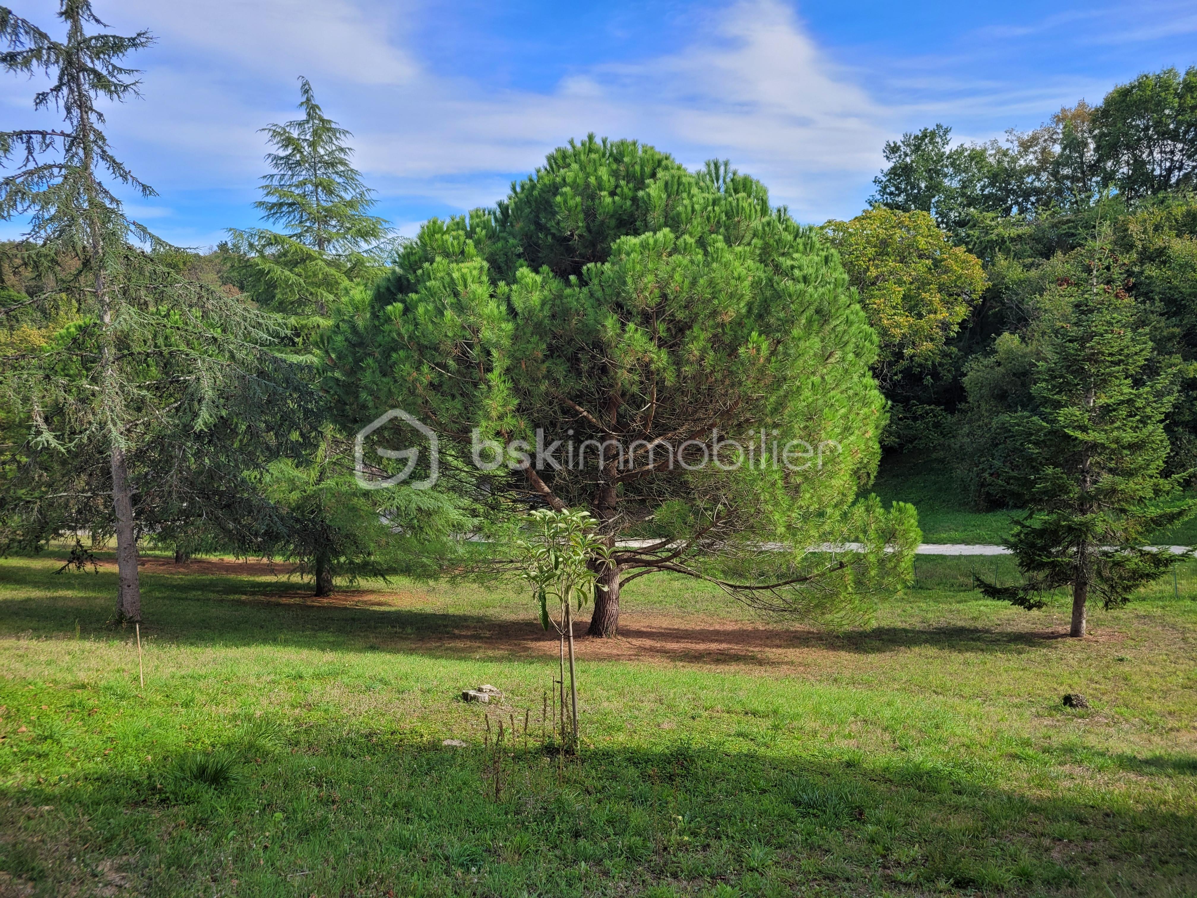 Maison de 110 m² - 20230927_162200.jpg