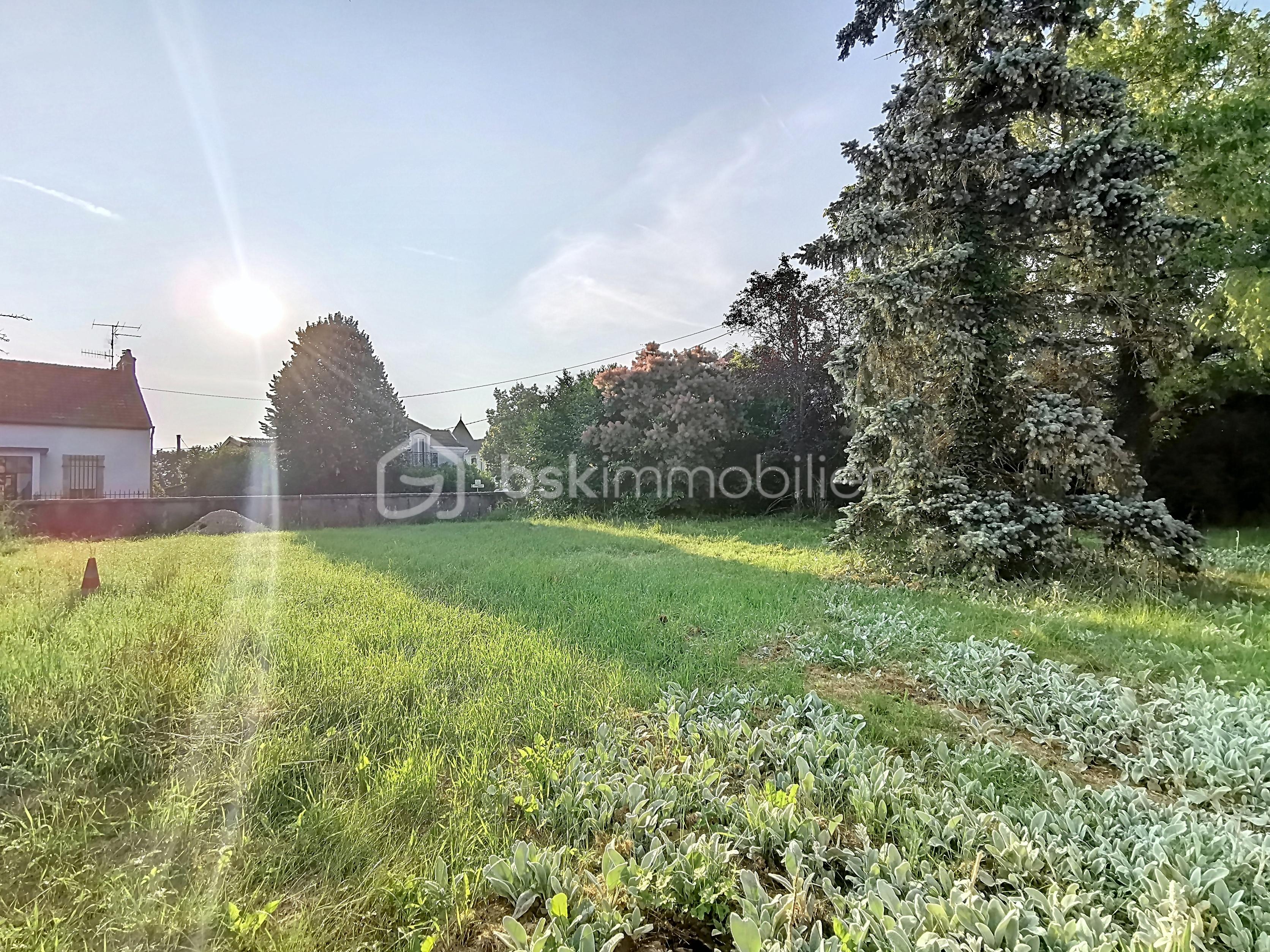 Terrain de 447 m² - bathelier_00001 (1).jpg