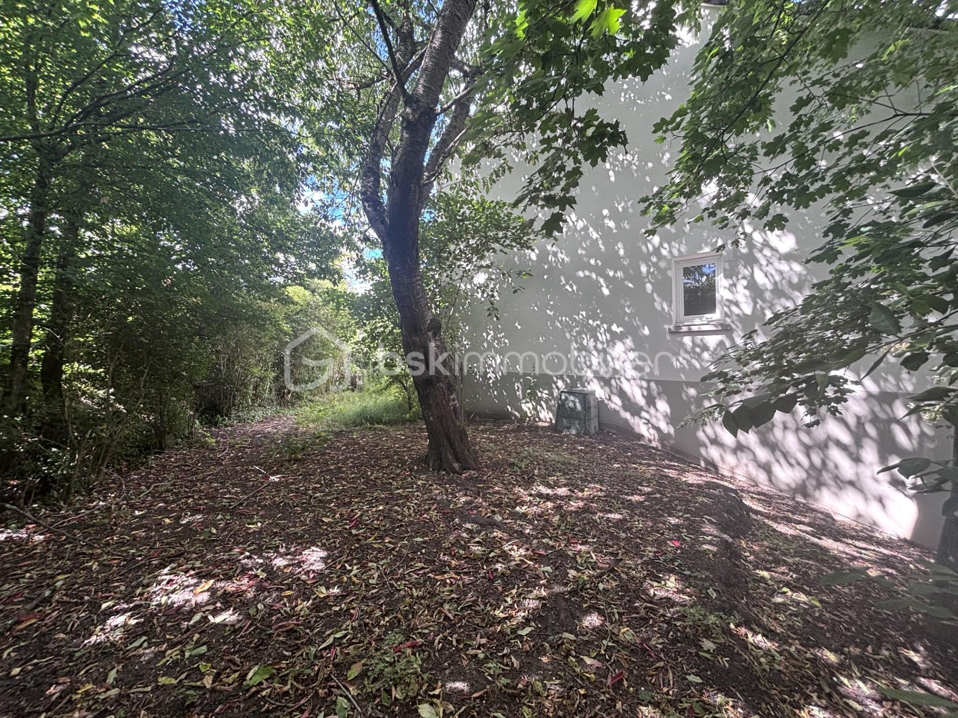 jardin.jpg
