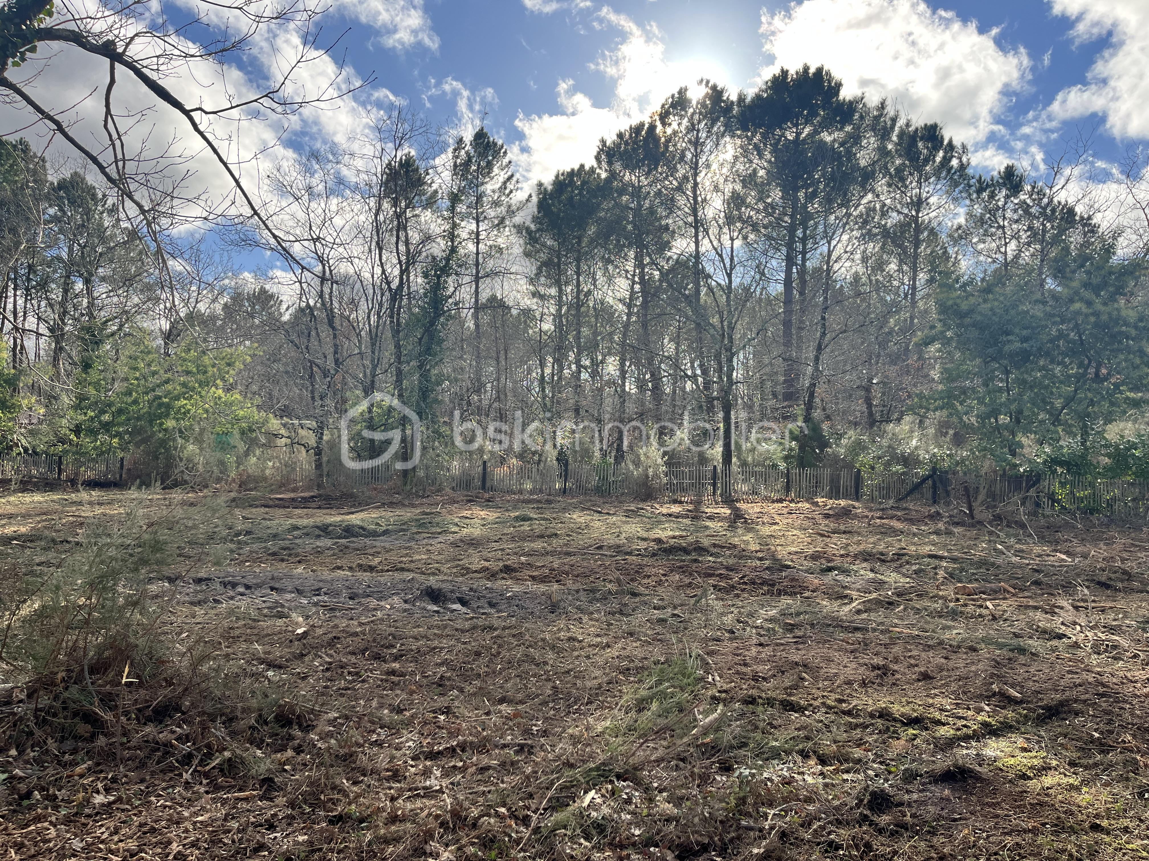 Terrain de 3 084 m² - IMG_7082.jpeg