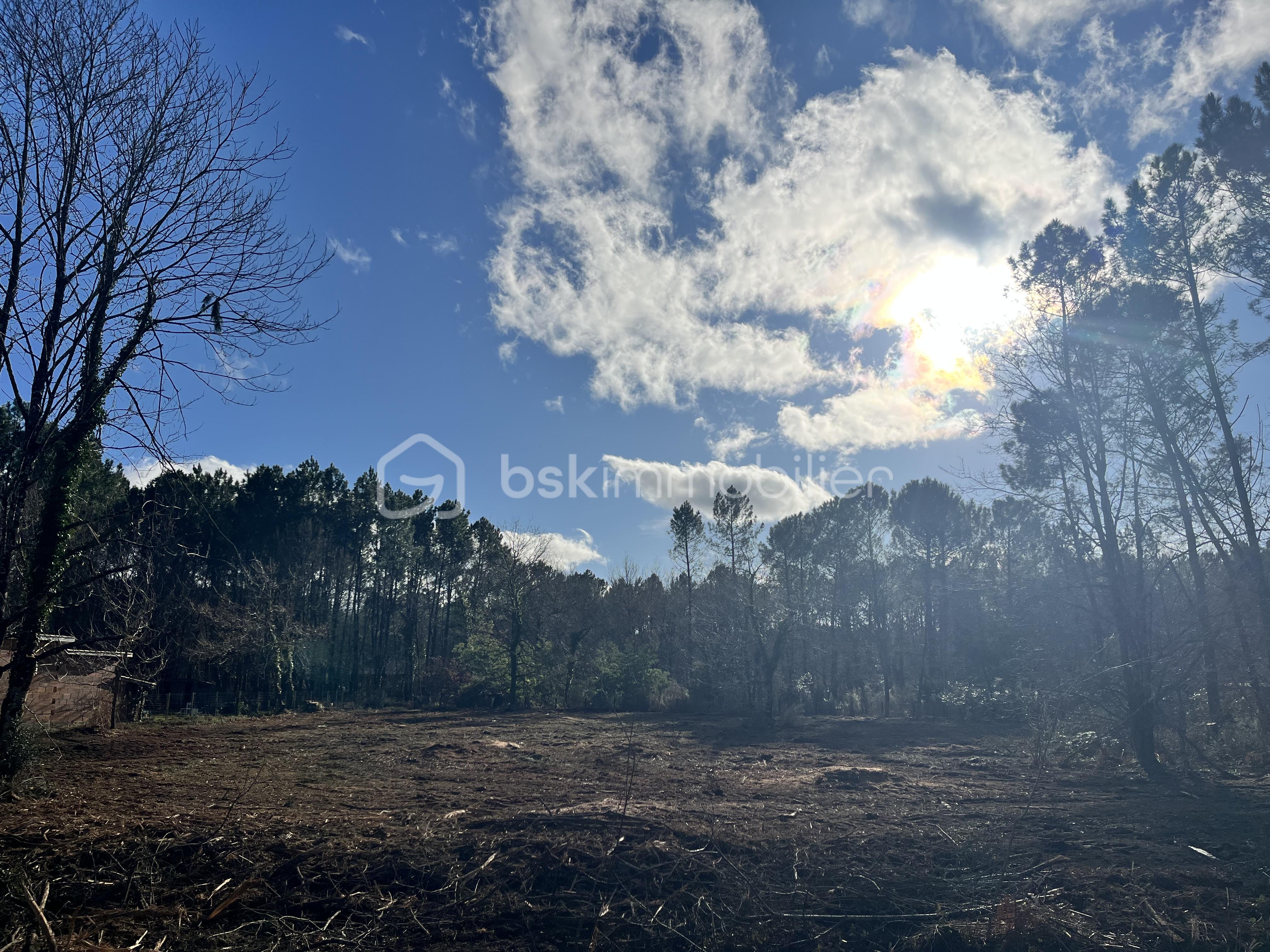 Terrain de 3 084 m² - IMG_7087.jpeg