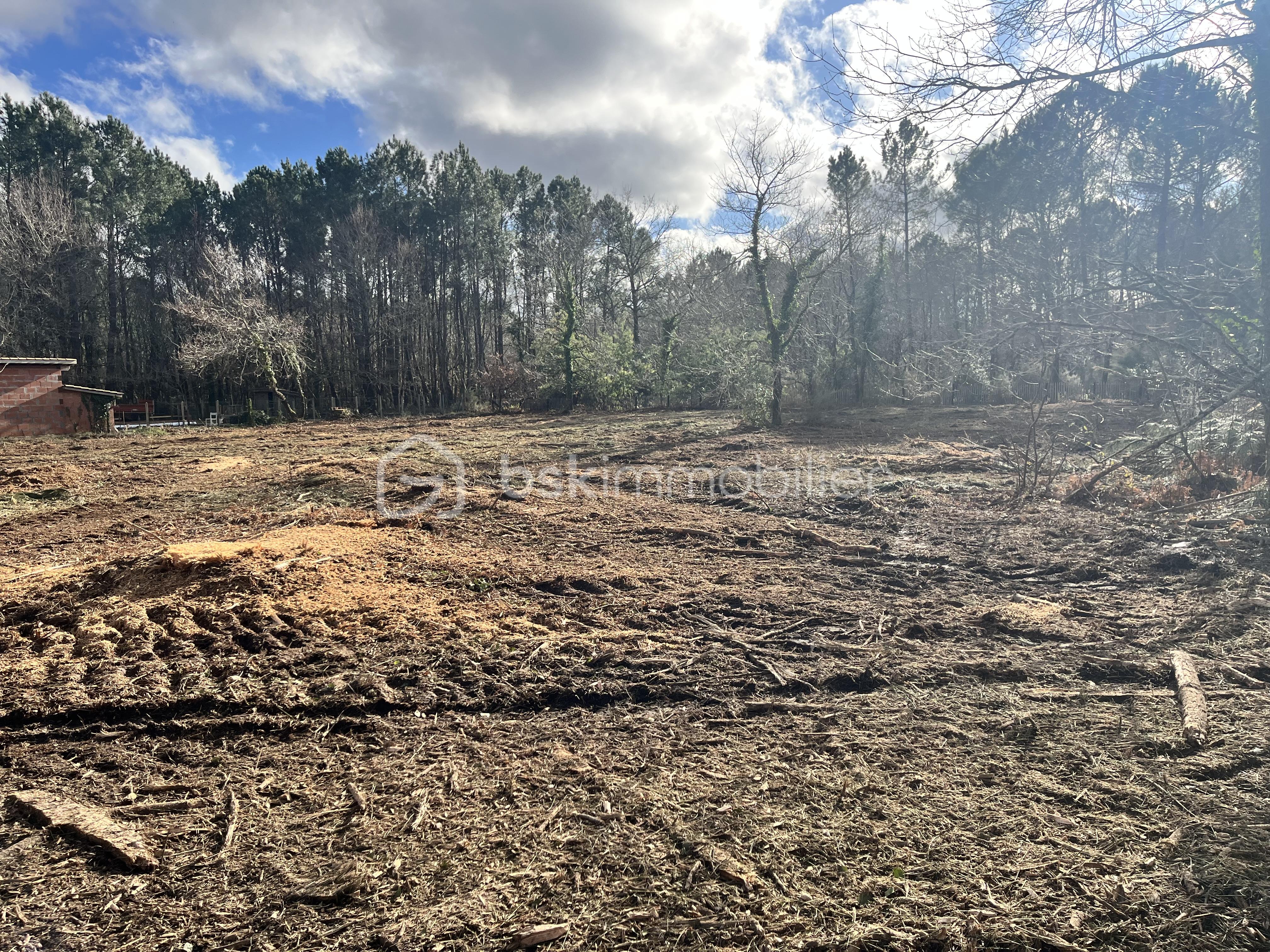 Terrain de 3 084 m² - IMG_7078.jpeg