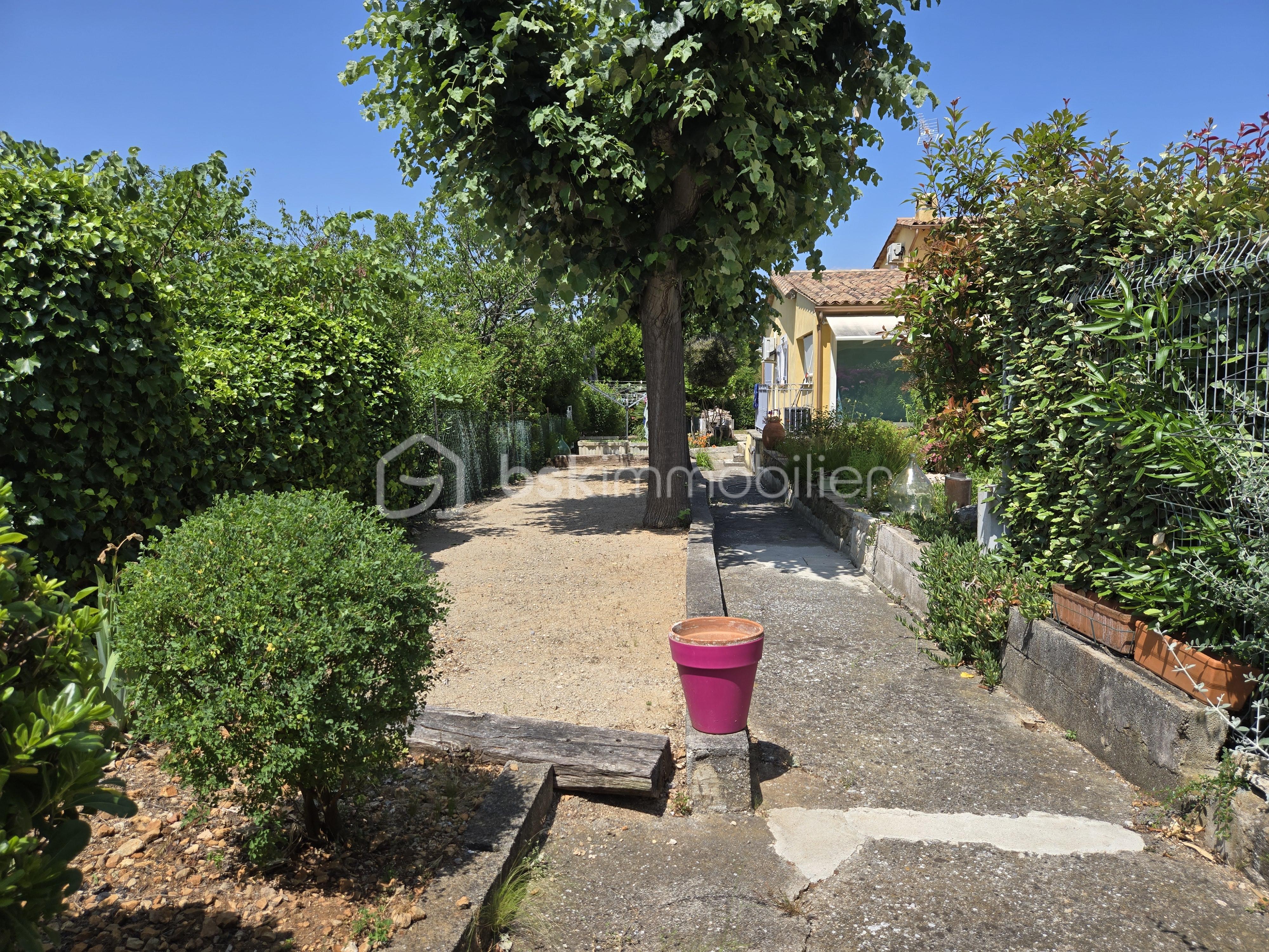 jardin.jpg