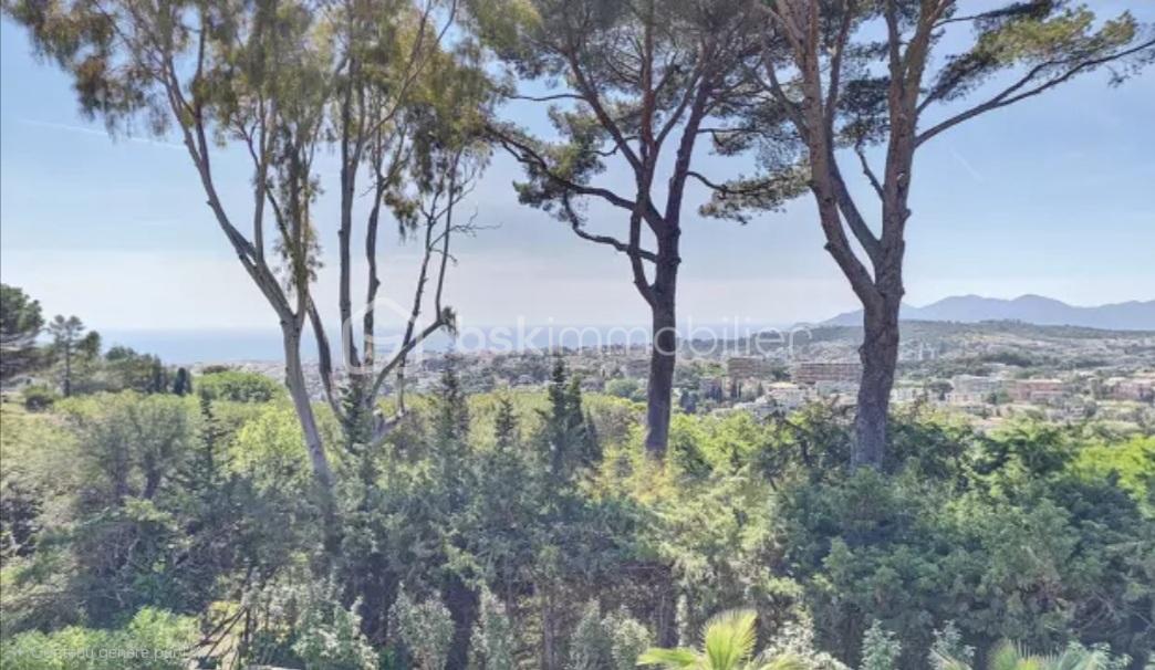 Maison de 370 m² - 34875.jpg