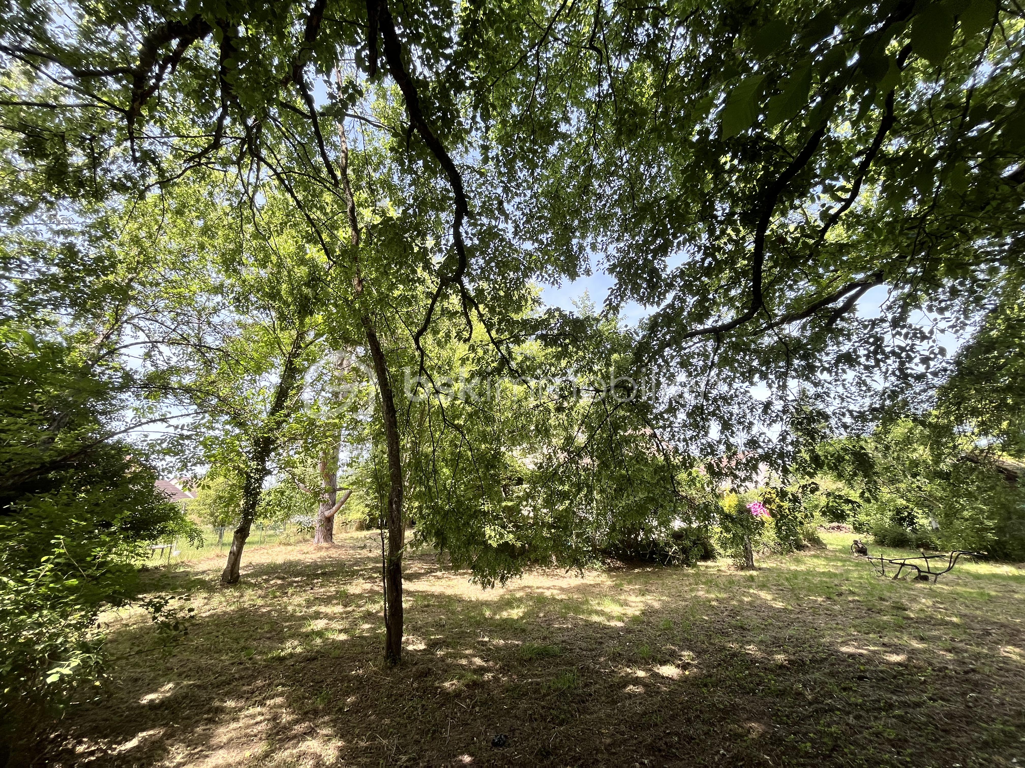 IMG_4042.jpeg