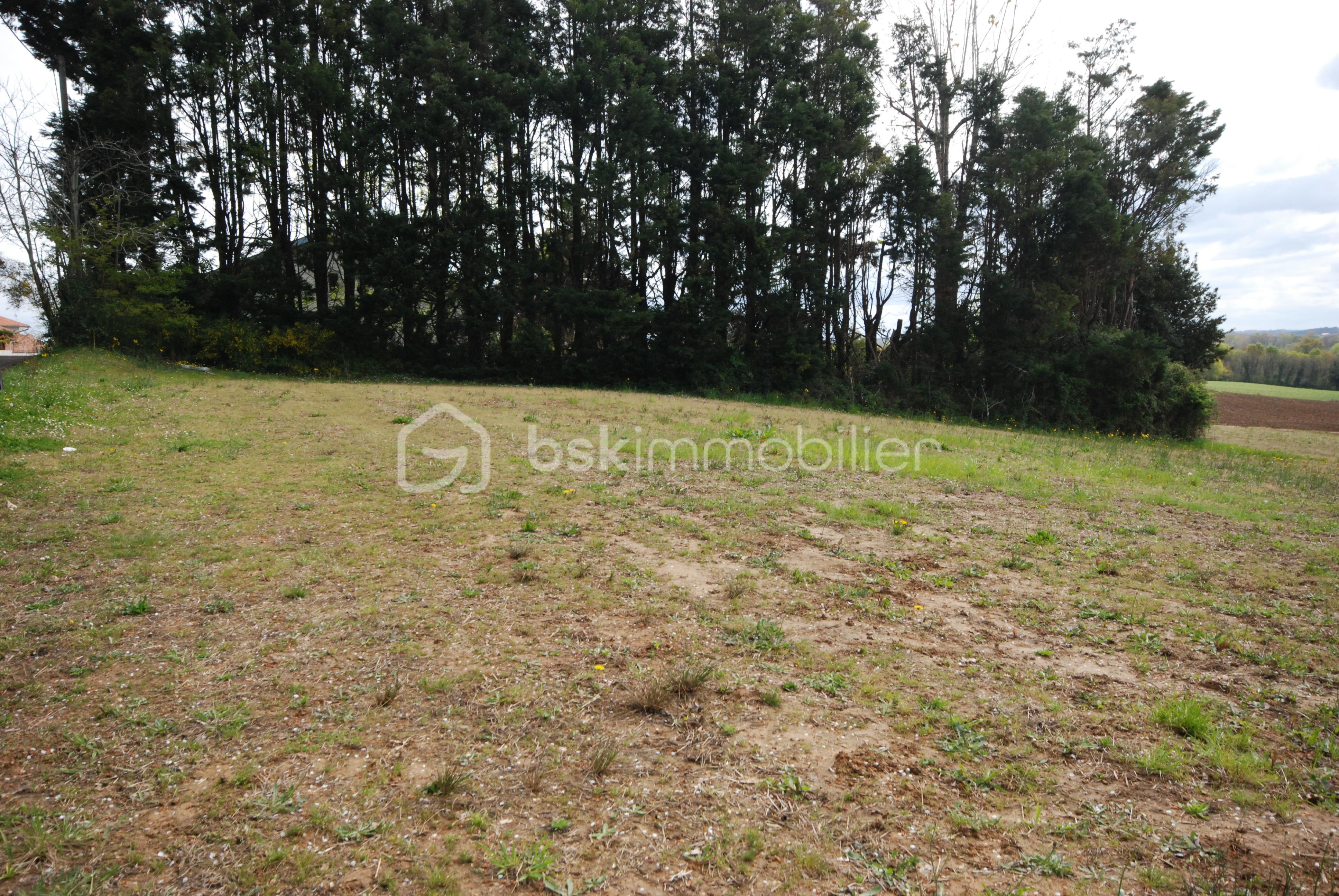 DSC_0085 - Copie.JPG