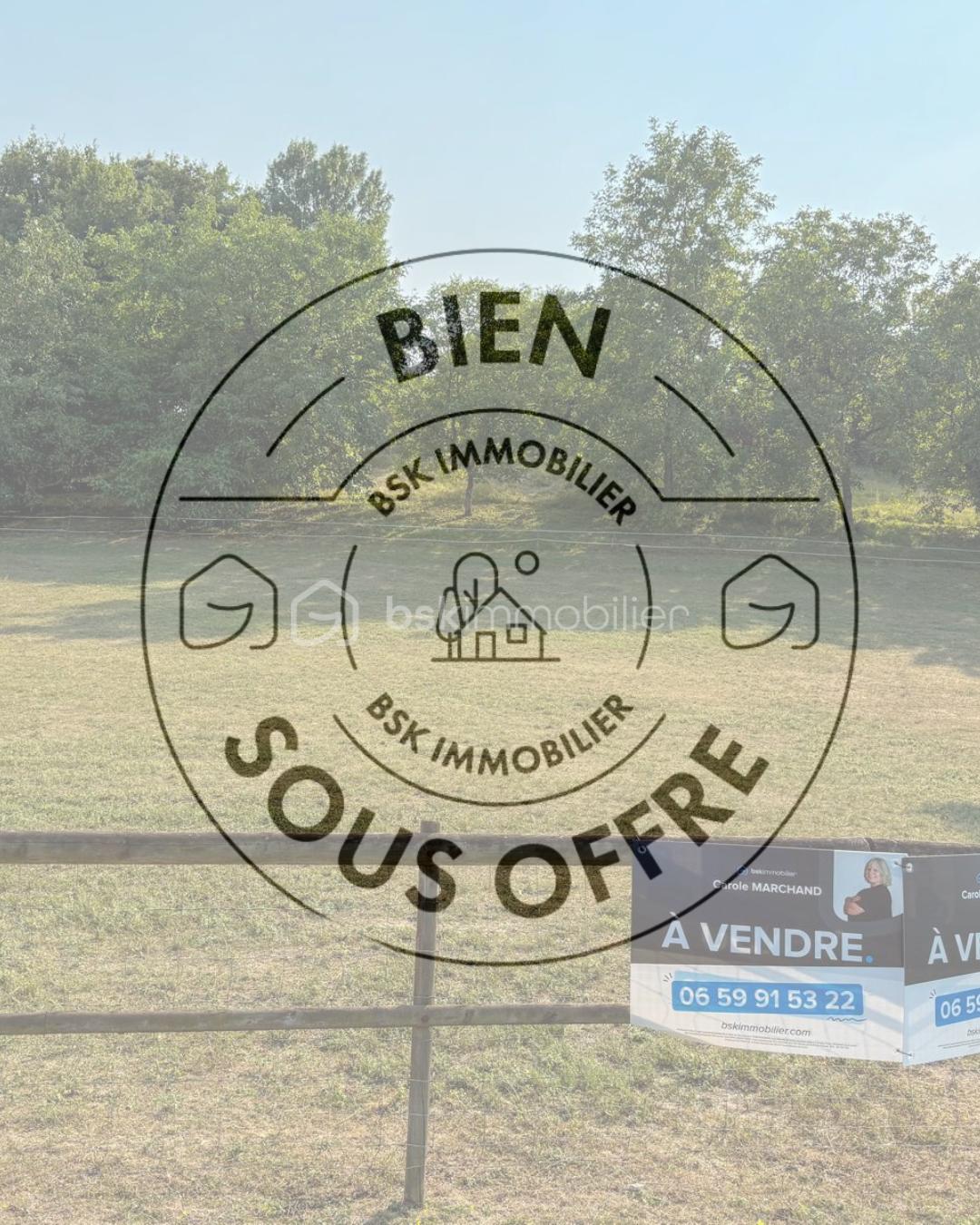 Design sans titre (7).png