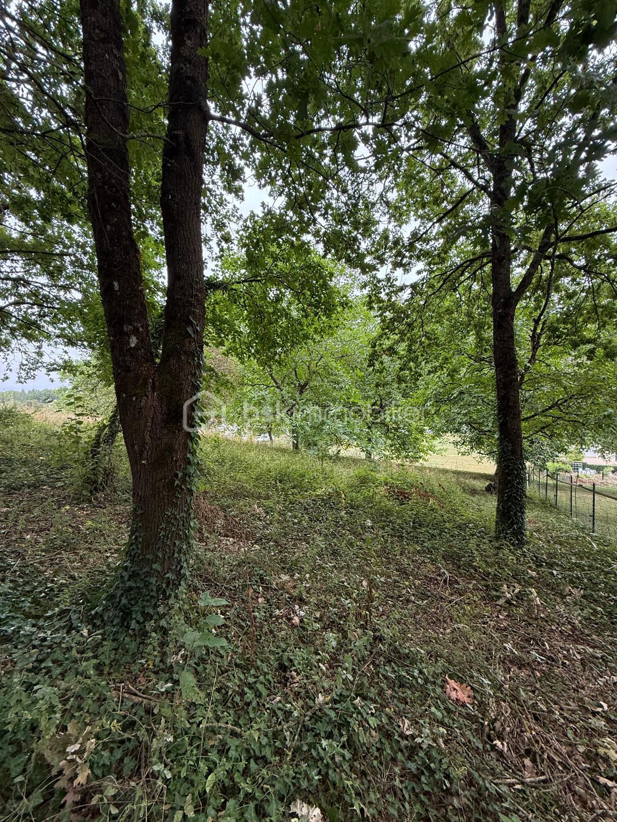 WhatsApp Image 2026-03-31 at 17.58.26.jpeg