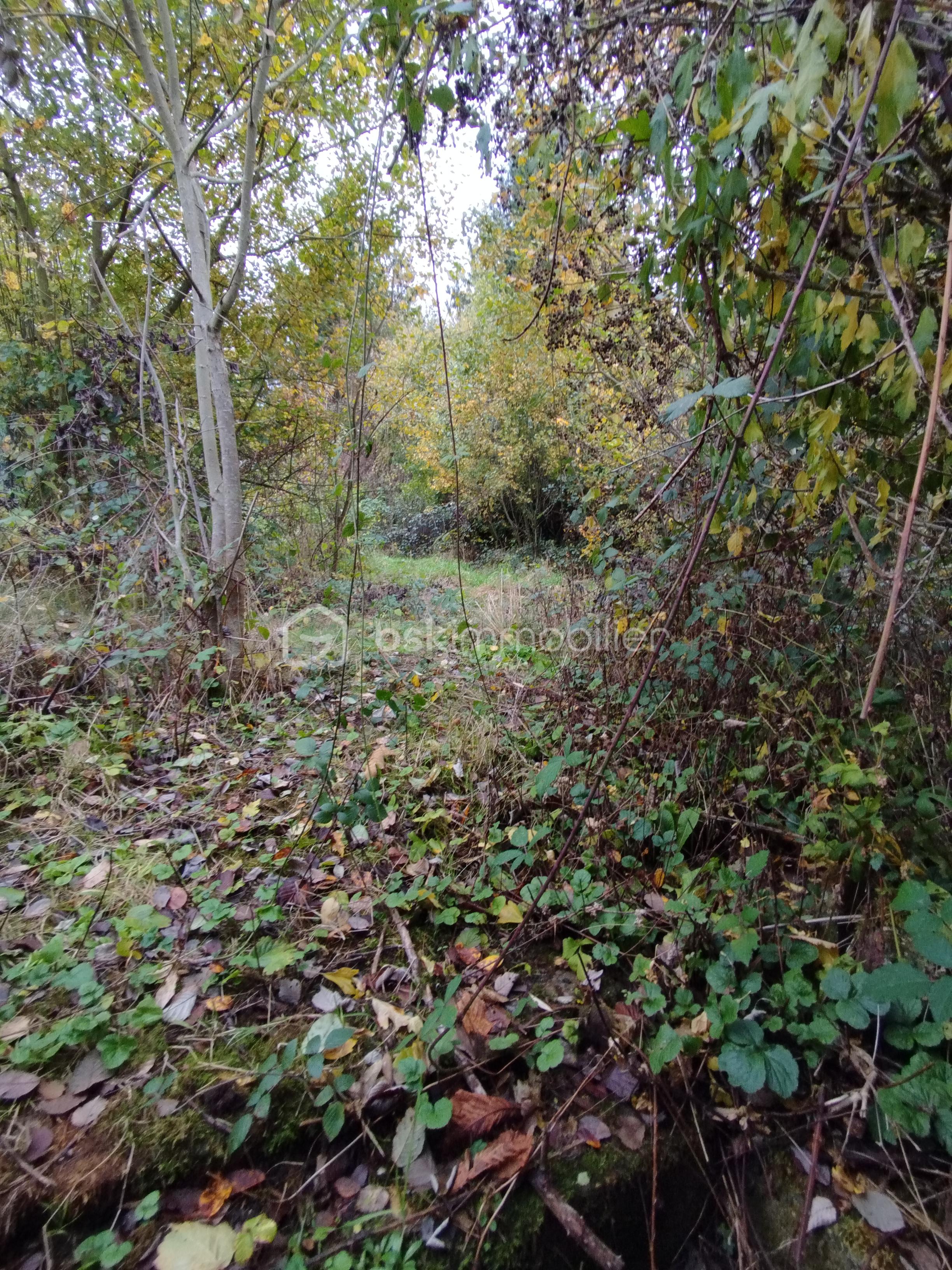 Maison ancienne de 93 m² - IMG_20251029_152732.jpg