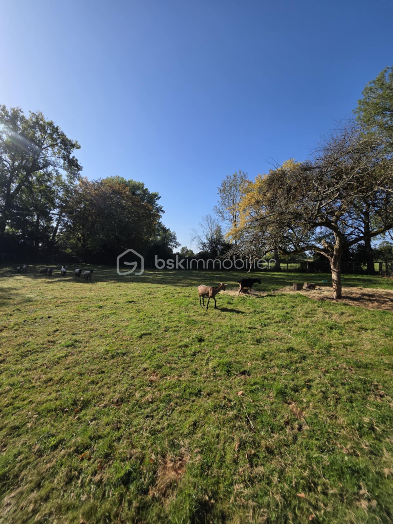 Maison de 91 m² - 5425bba8-d378-4d8d-97b4-578c33163047.jpg