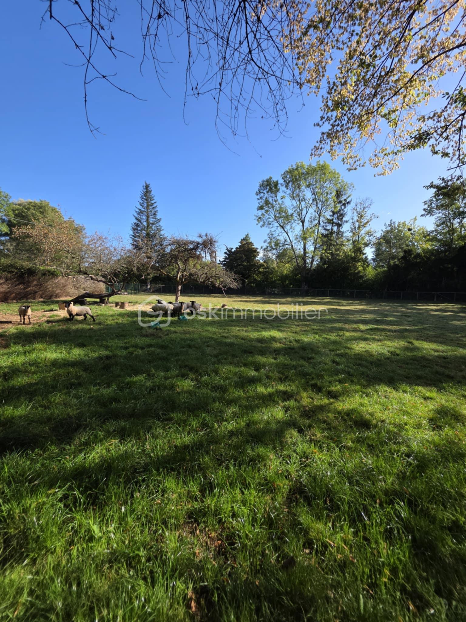 Maison de 91 m² - d8782729-fe6b-4632-ae6f-fb8373a50ae7.jpg