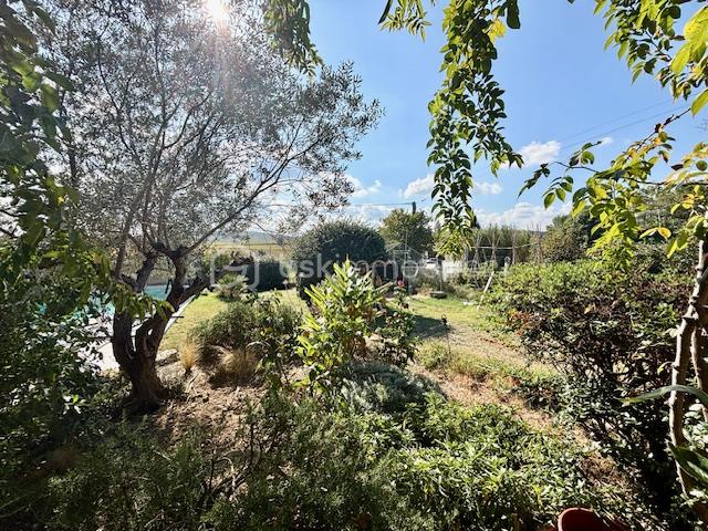 Maison provencale de 136 m² - IMG_5647.jpg