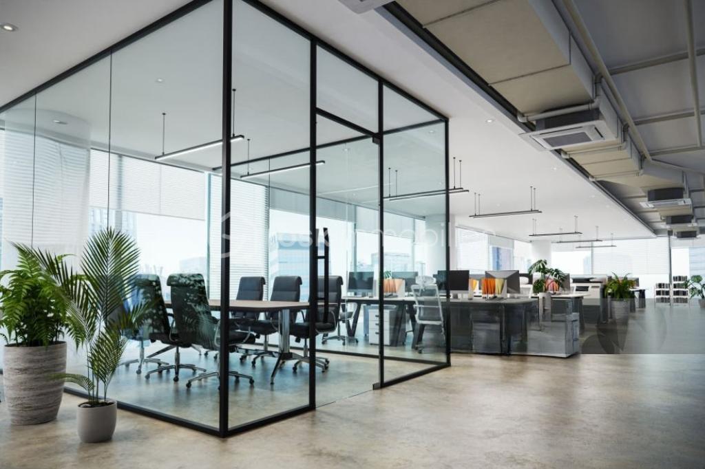 LOCAL PROFESSIONNEL (2).png