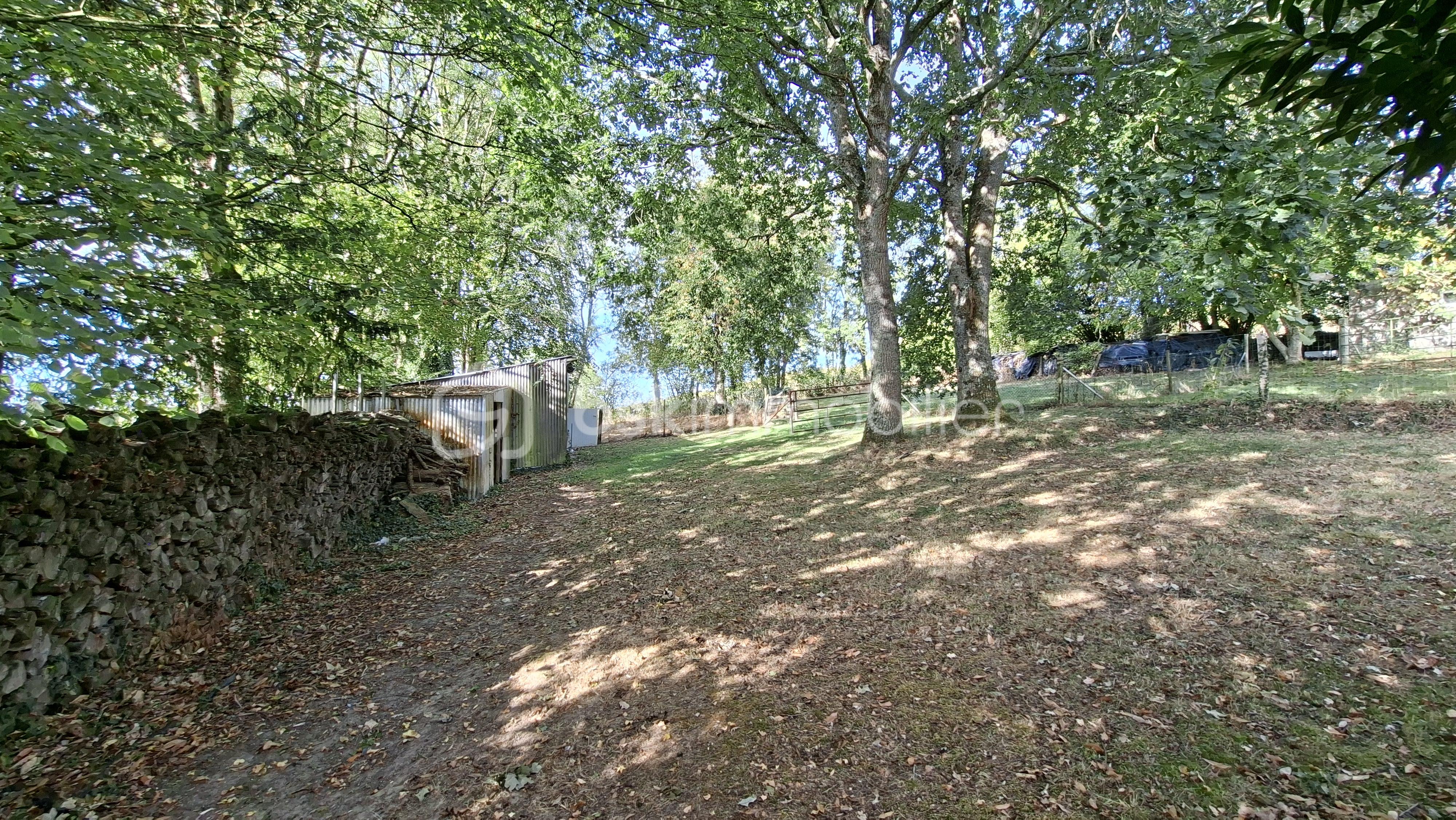 SUARD TERRAIN PLE TAS DE BOIS ET DEPENDANCE .jpg