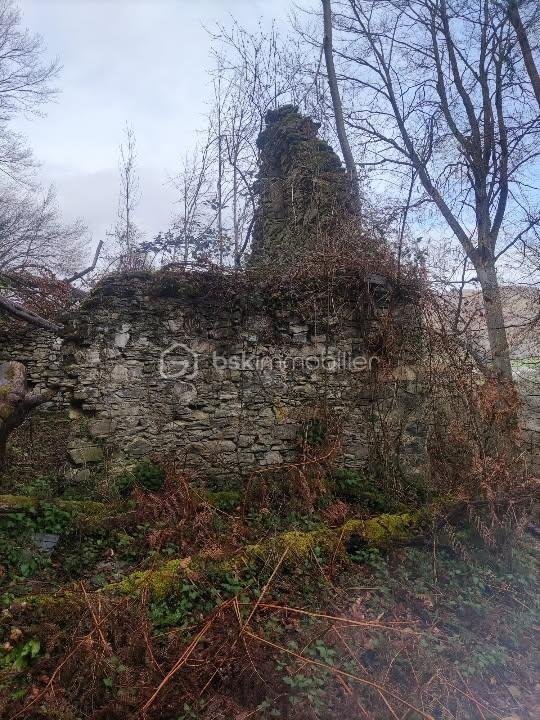 Maison de 60 m² - IMG_20251202_132752.jpg