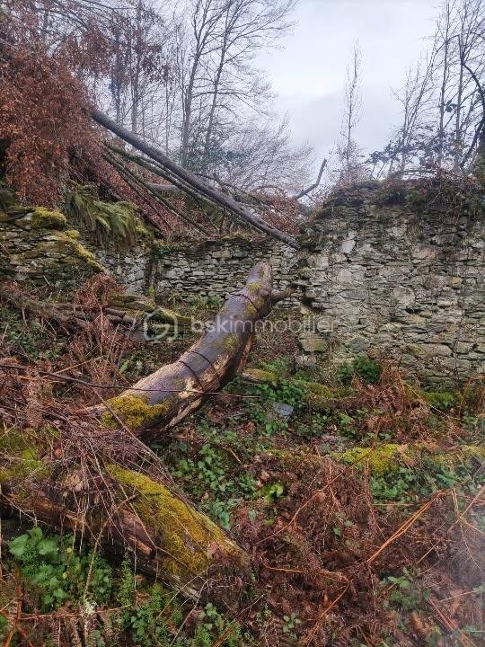 Maison de 60 m² - IMG_20251202_132755.jpg