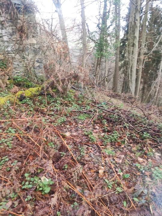 Maison de 60 m² - IMG_20251202_132748.jpg