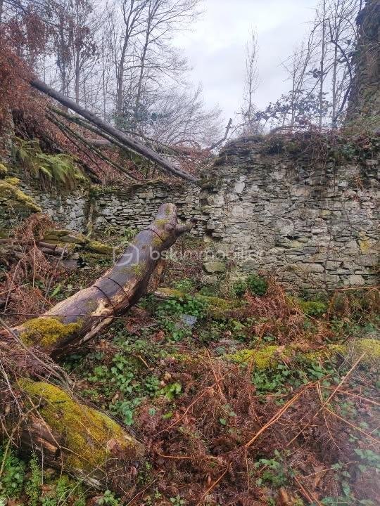 Maison de 60 m² - IMG_20251202_132746.jpg