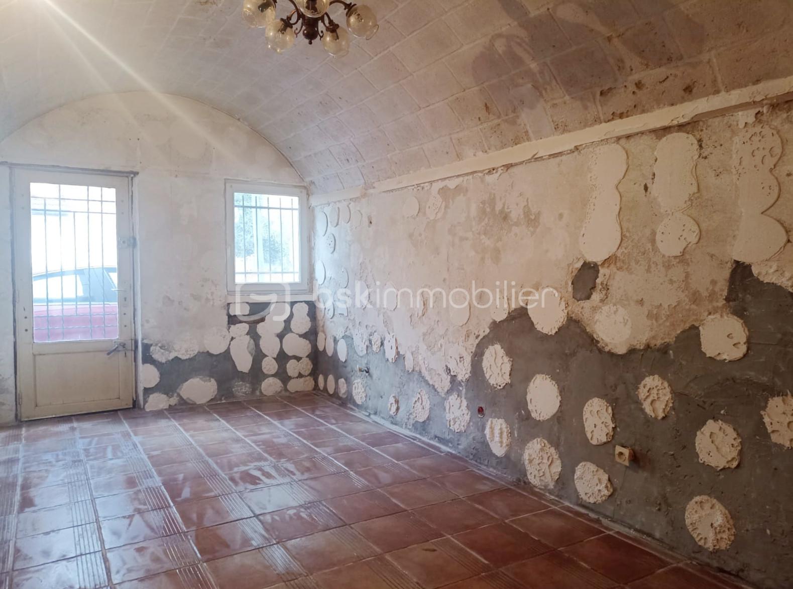 Maison de ville de 63,18 m² - piece voutee 2.jpeg