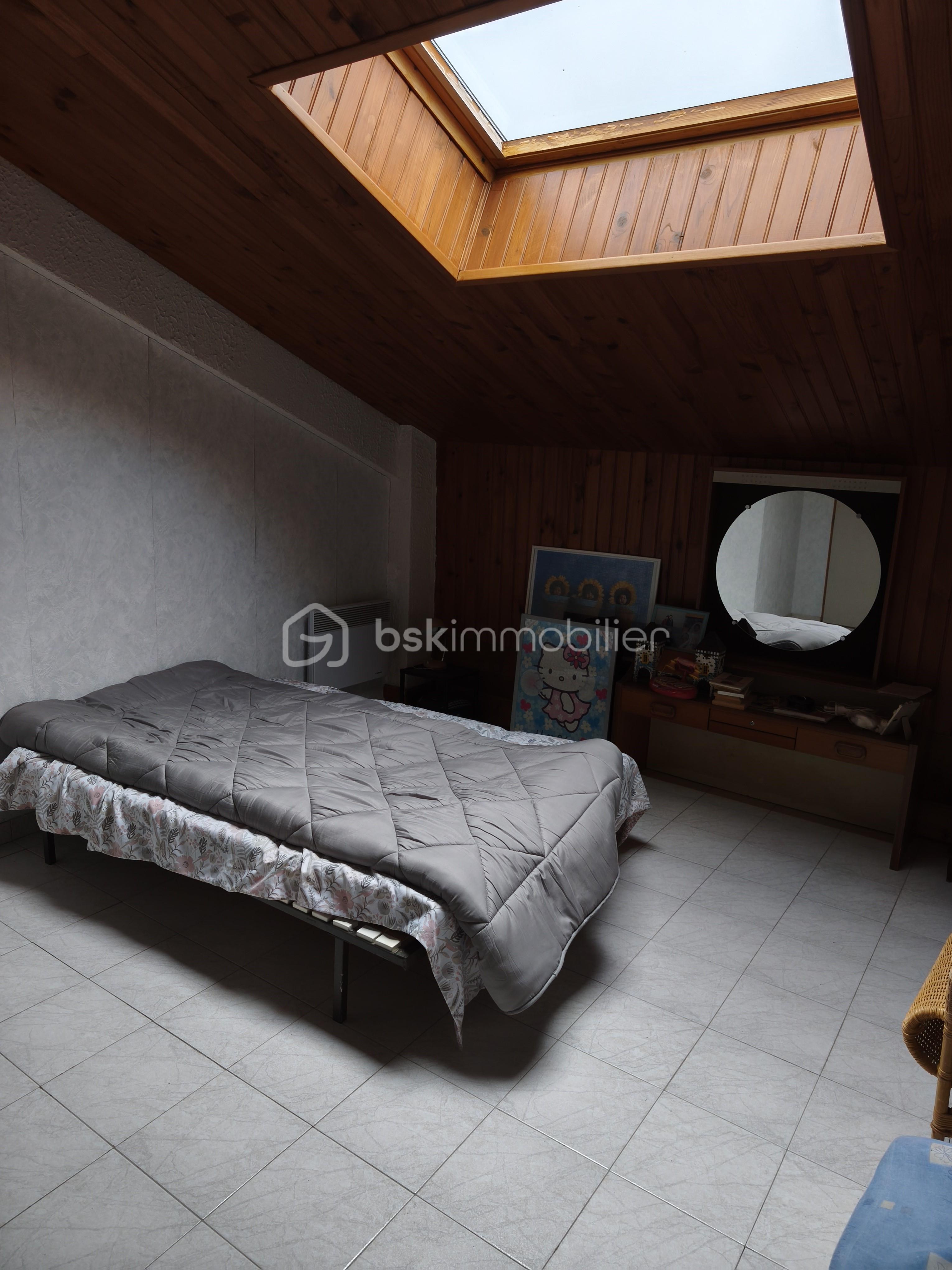 ch avec velux bis.jpg