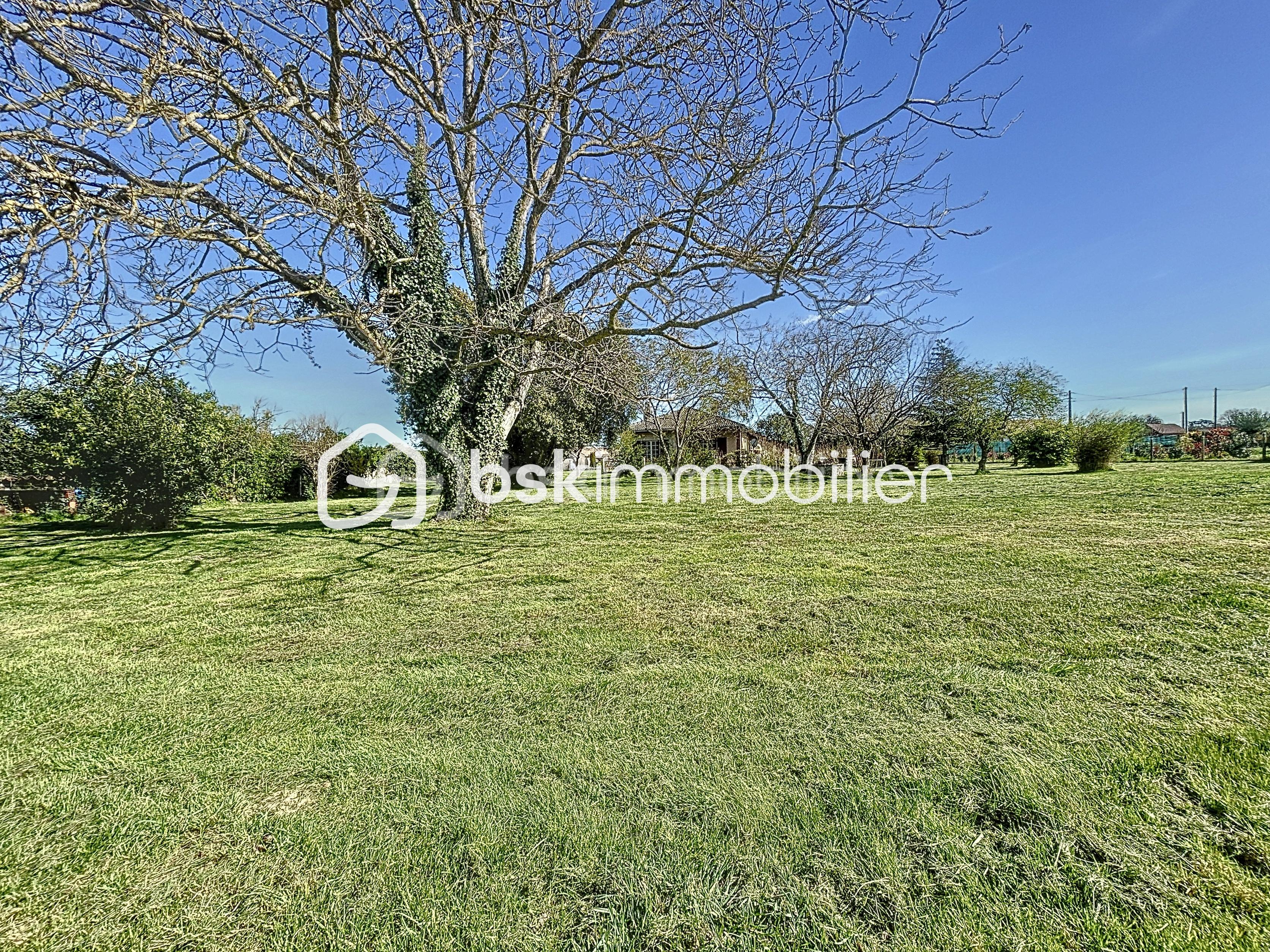 Lotissement de 1 300 m² - 8.jpg