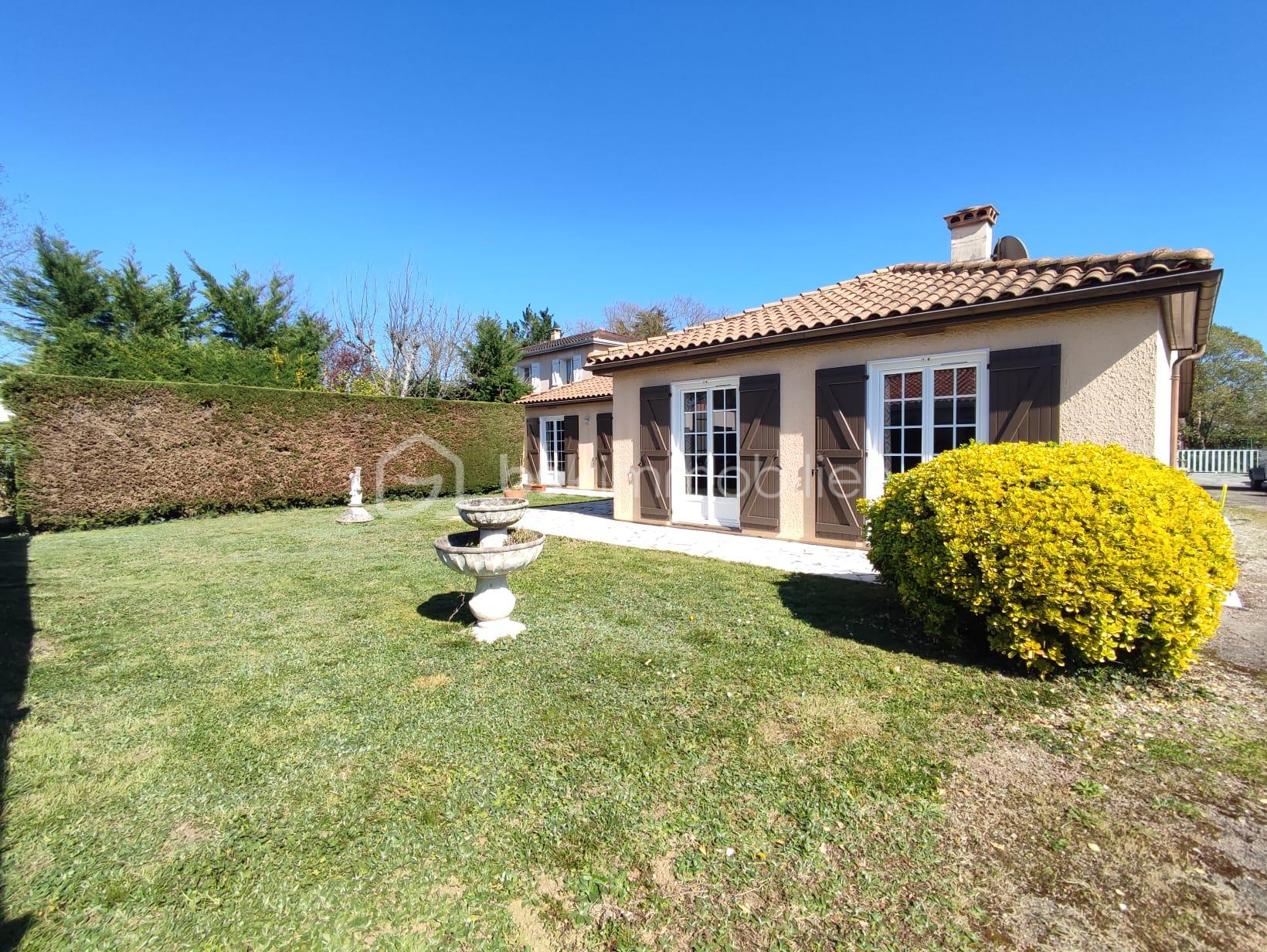 WhatsApp Image 2026-03-20 at 18.59.02.jpeg